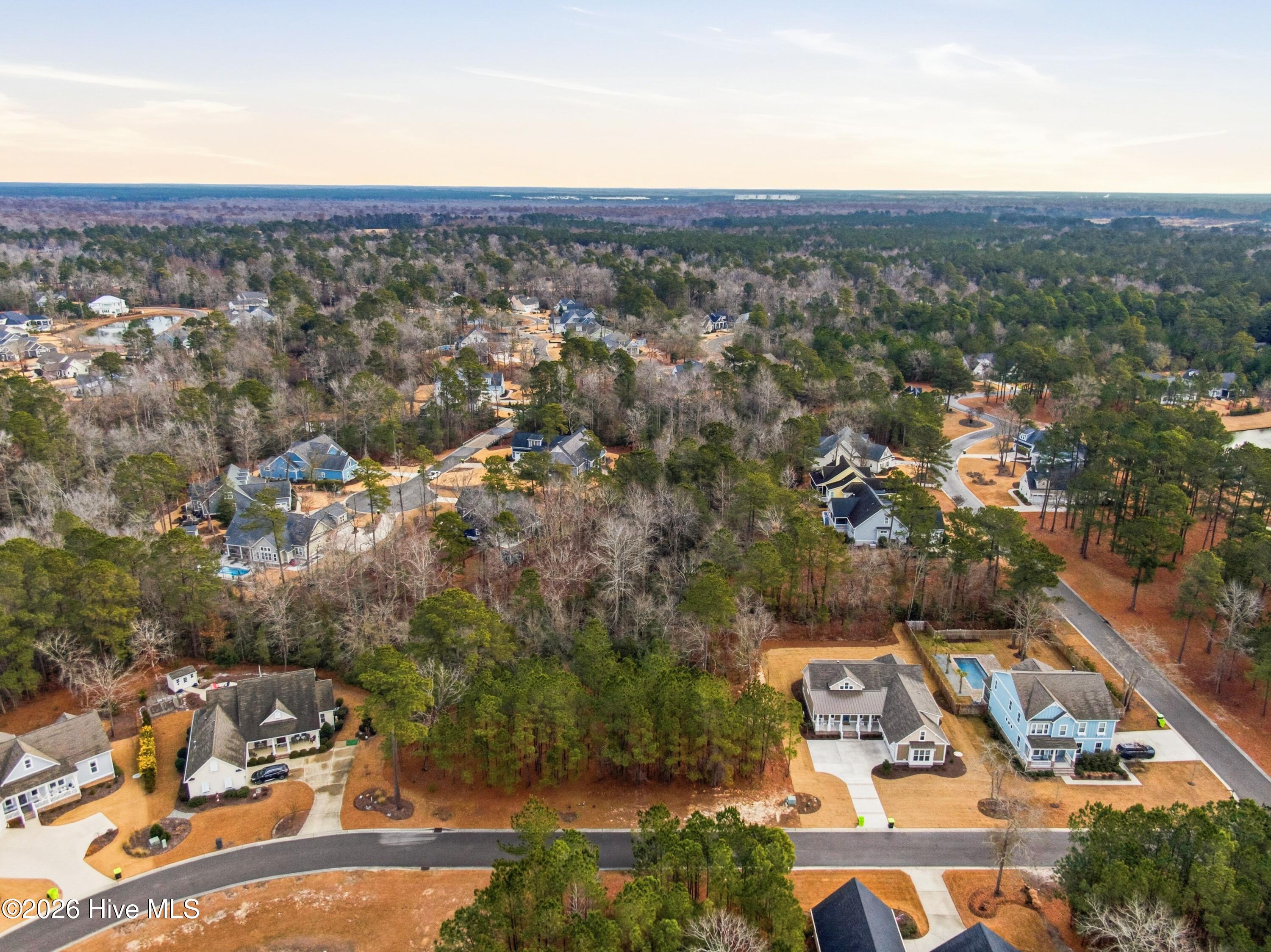 100551490 | Photo 59