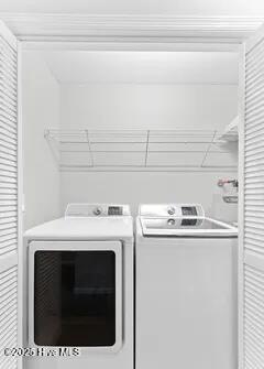 100539183 | Photo 14