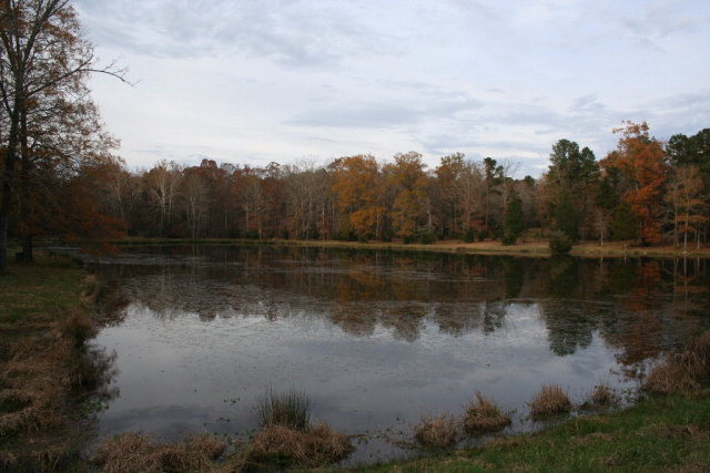 Double Branches Road, Lincolnton, GA 30817 Listing Photo  9
