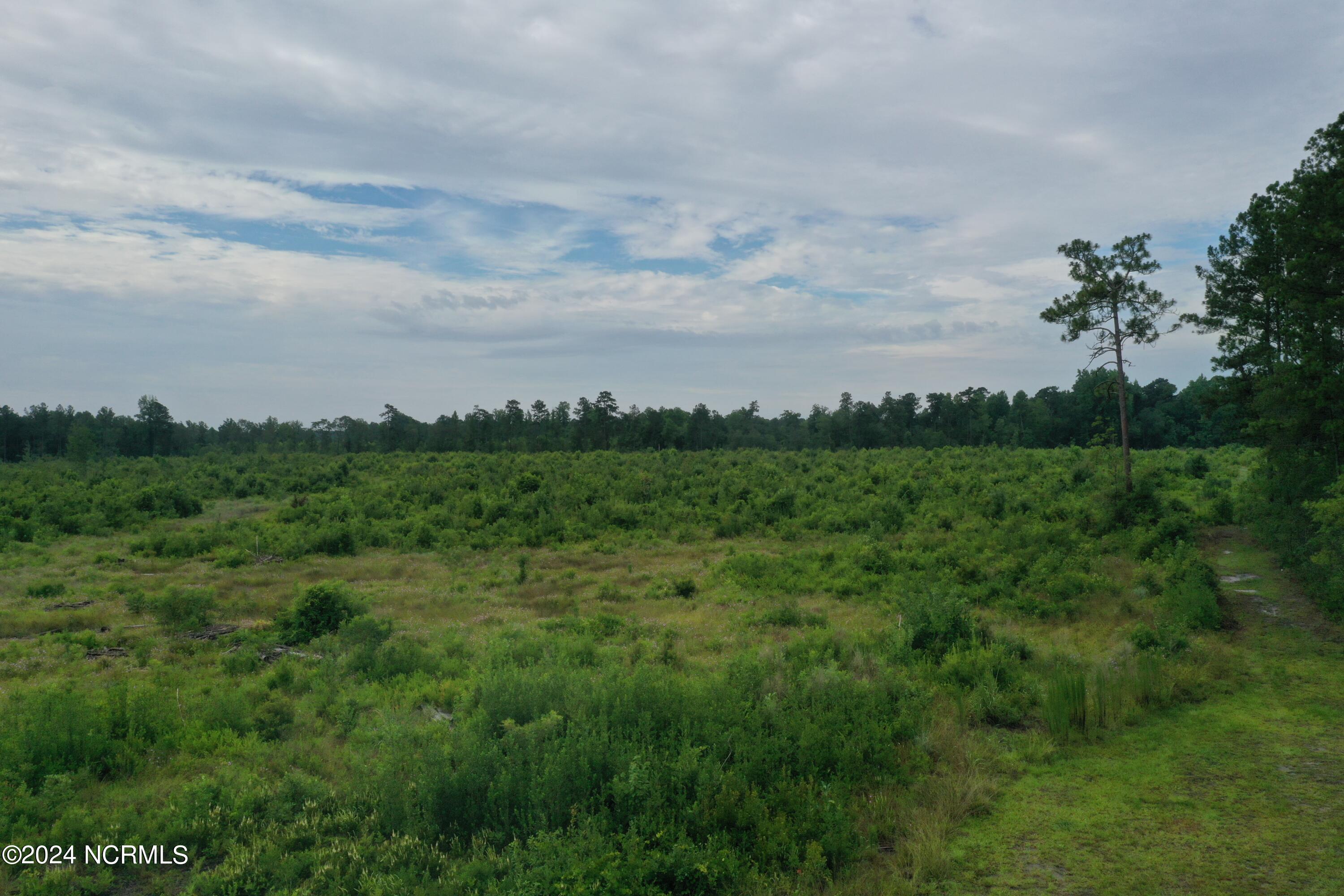 3506 Whitehall Road, Whiteville, NC, 28472