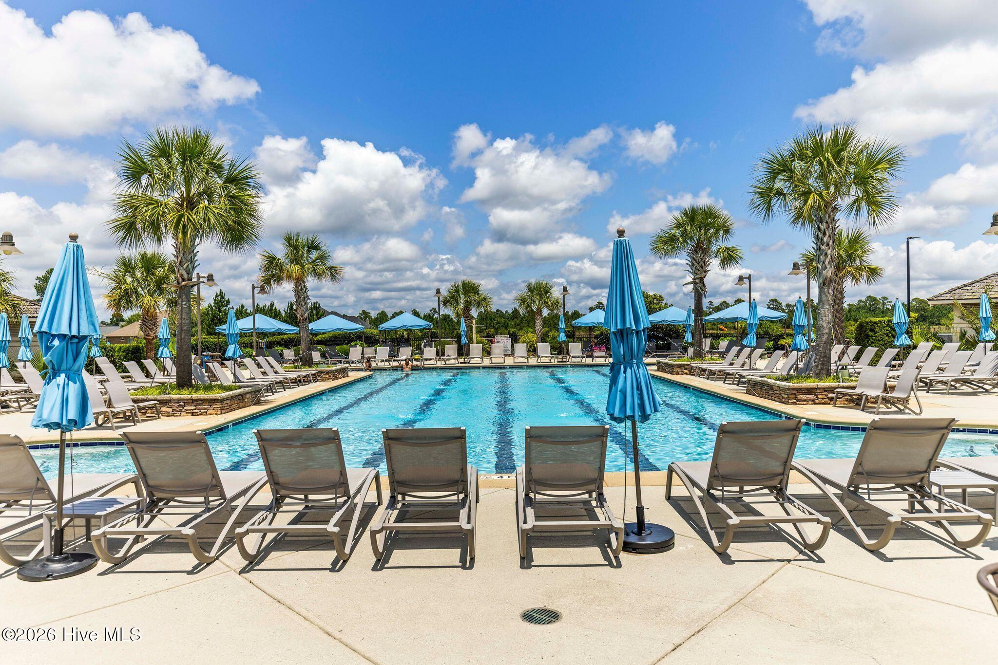 100566081 | Photo 46