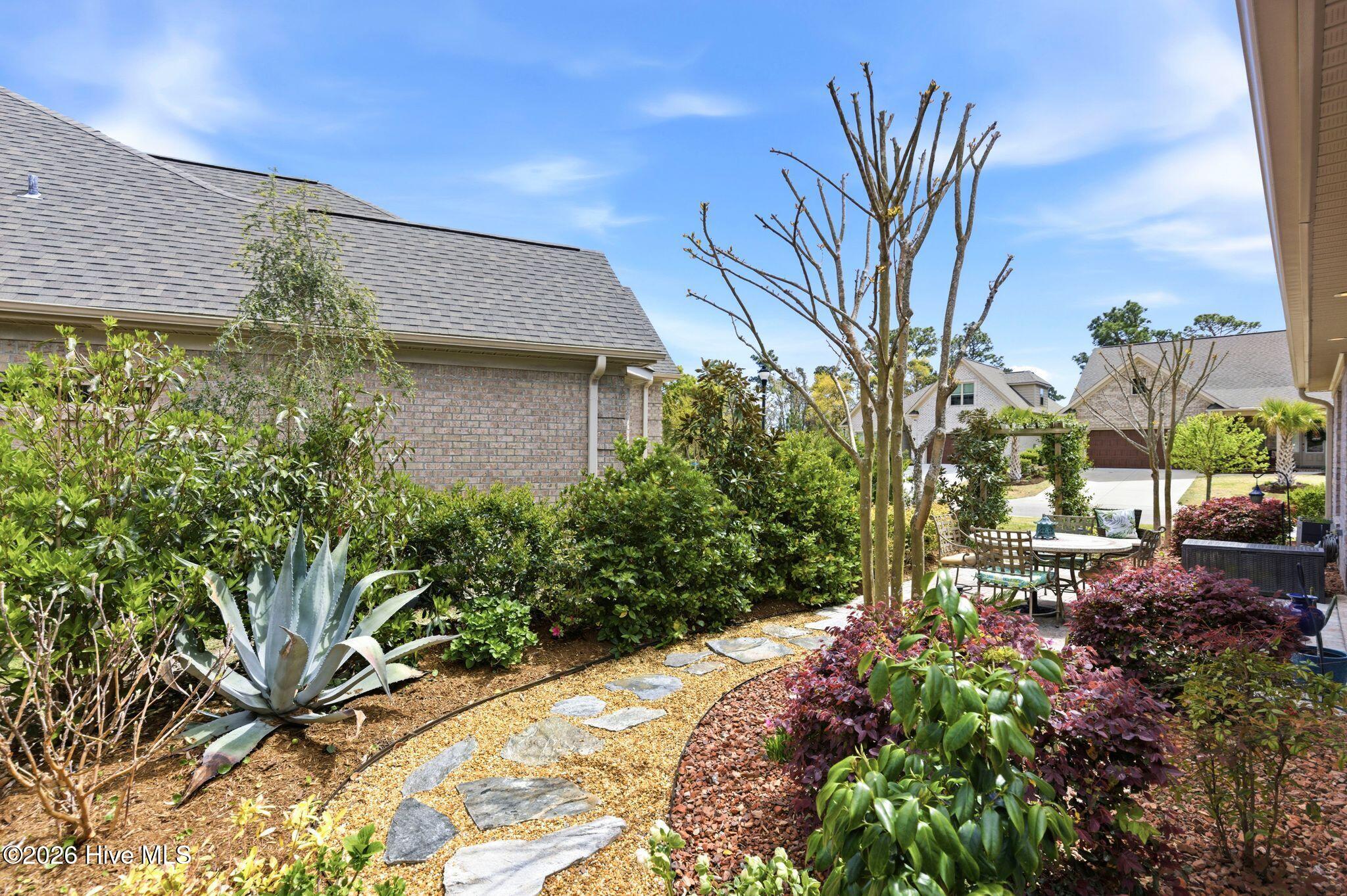 100564564 | Photo 49