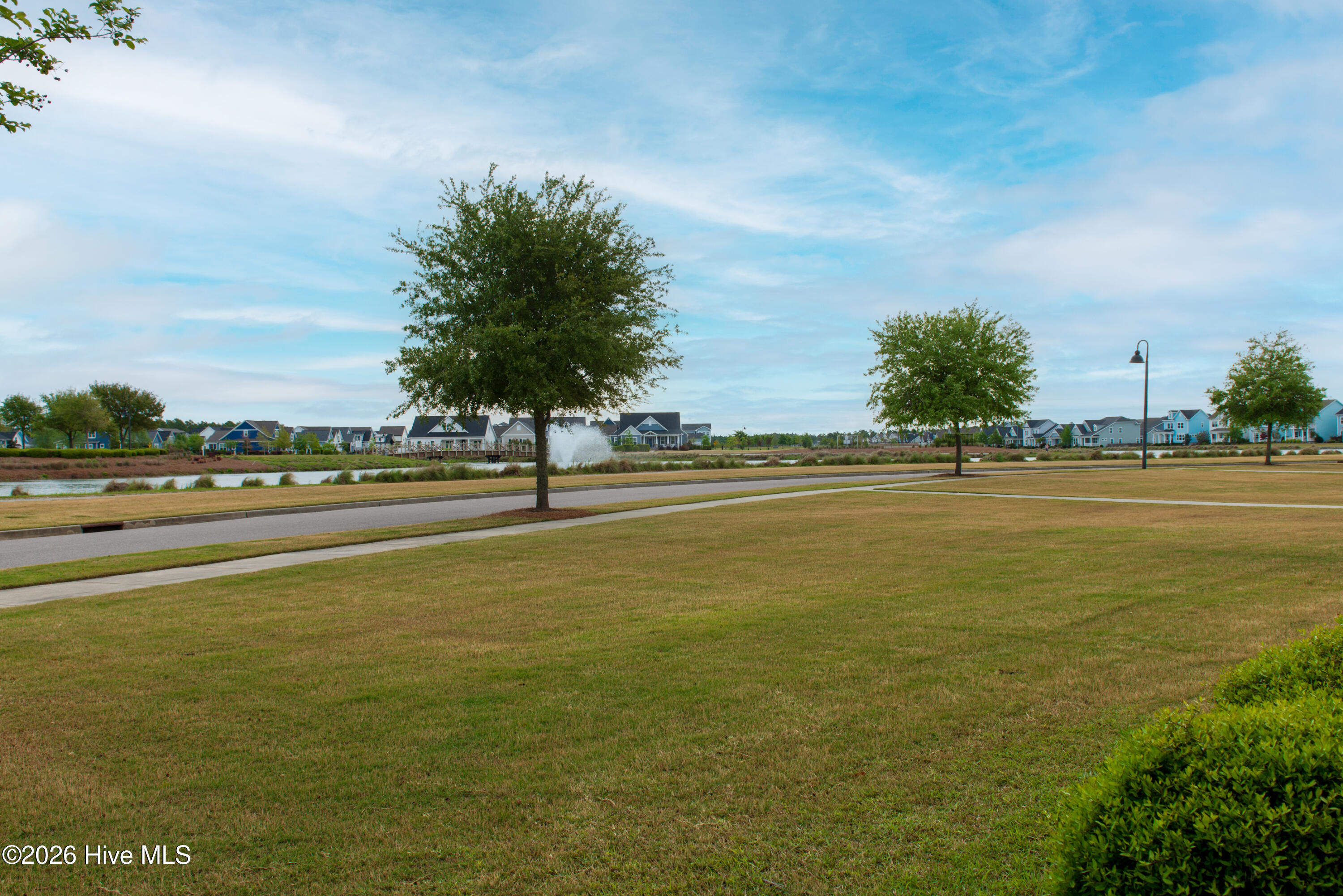 100568036 | Photo 76