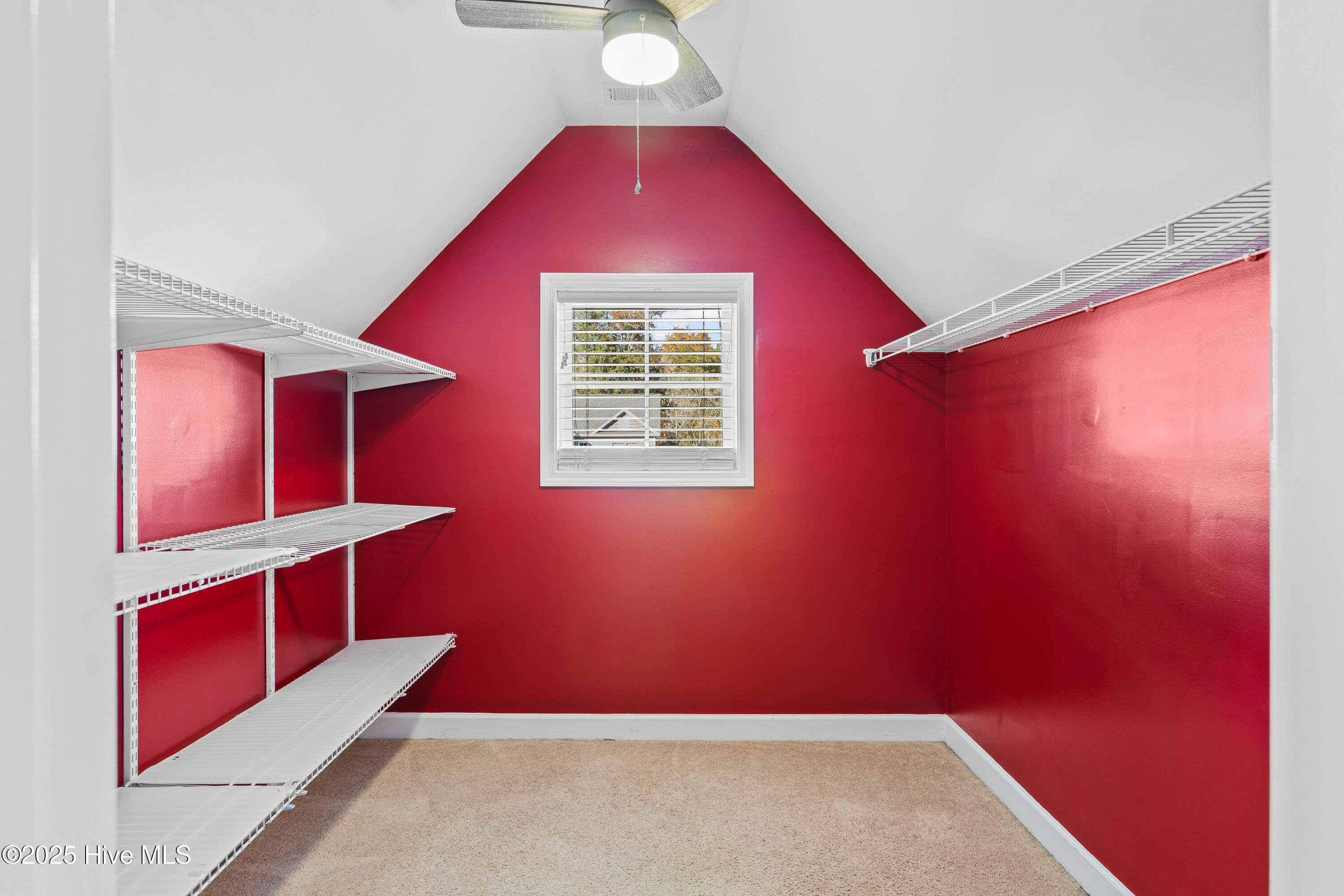 100541527 | Photo 30