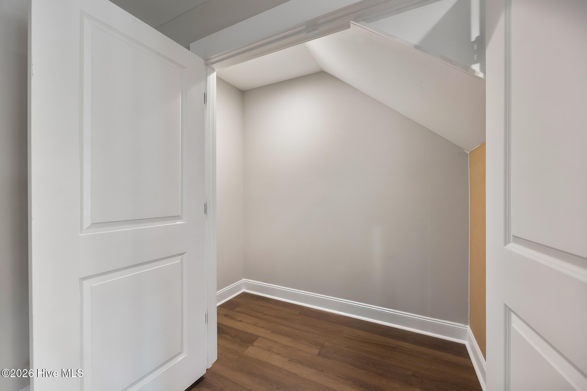 Basement Closet