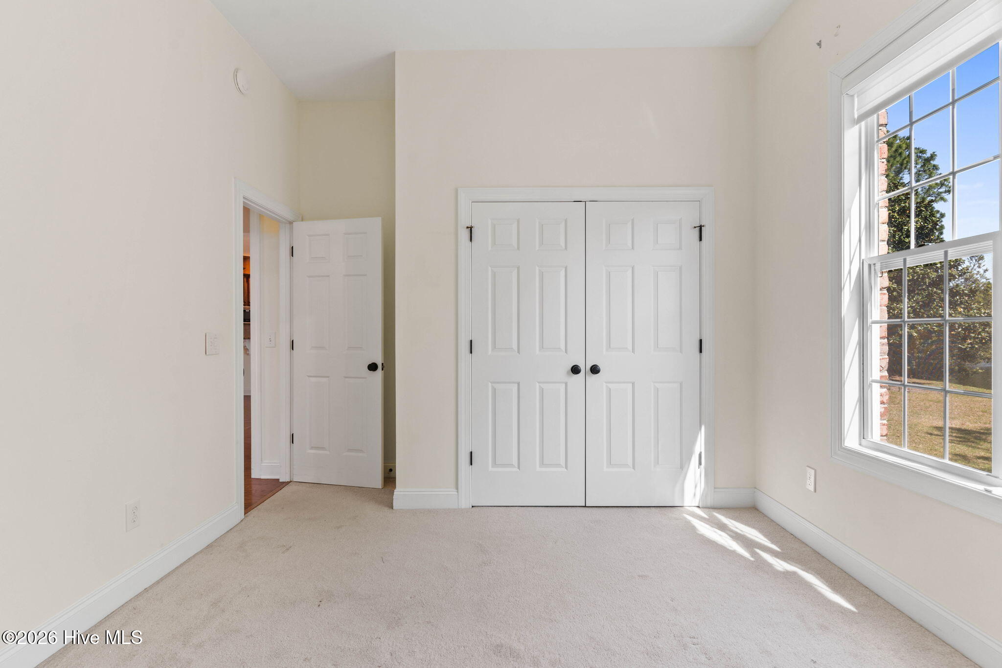 100568005 | Photo 28