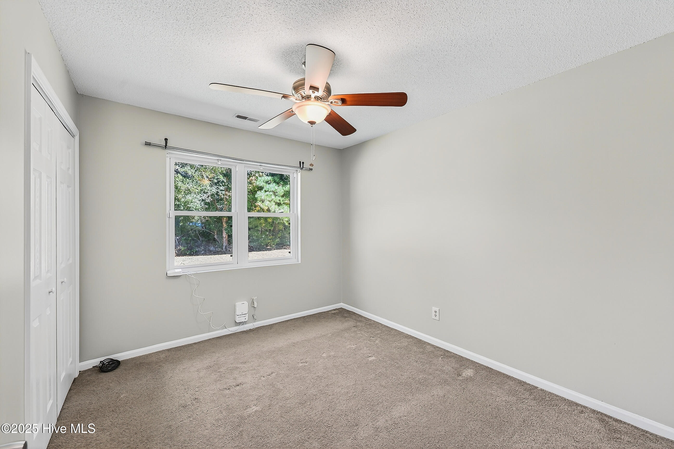 100540256 | Photo 14