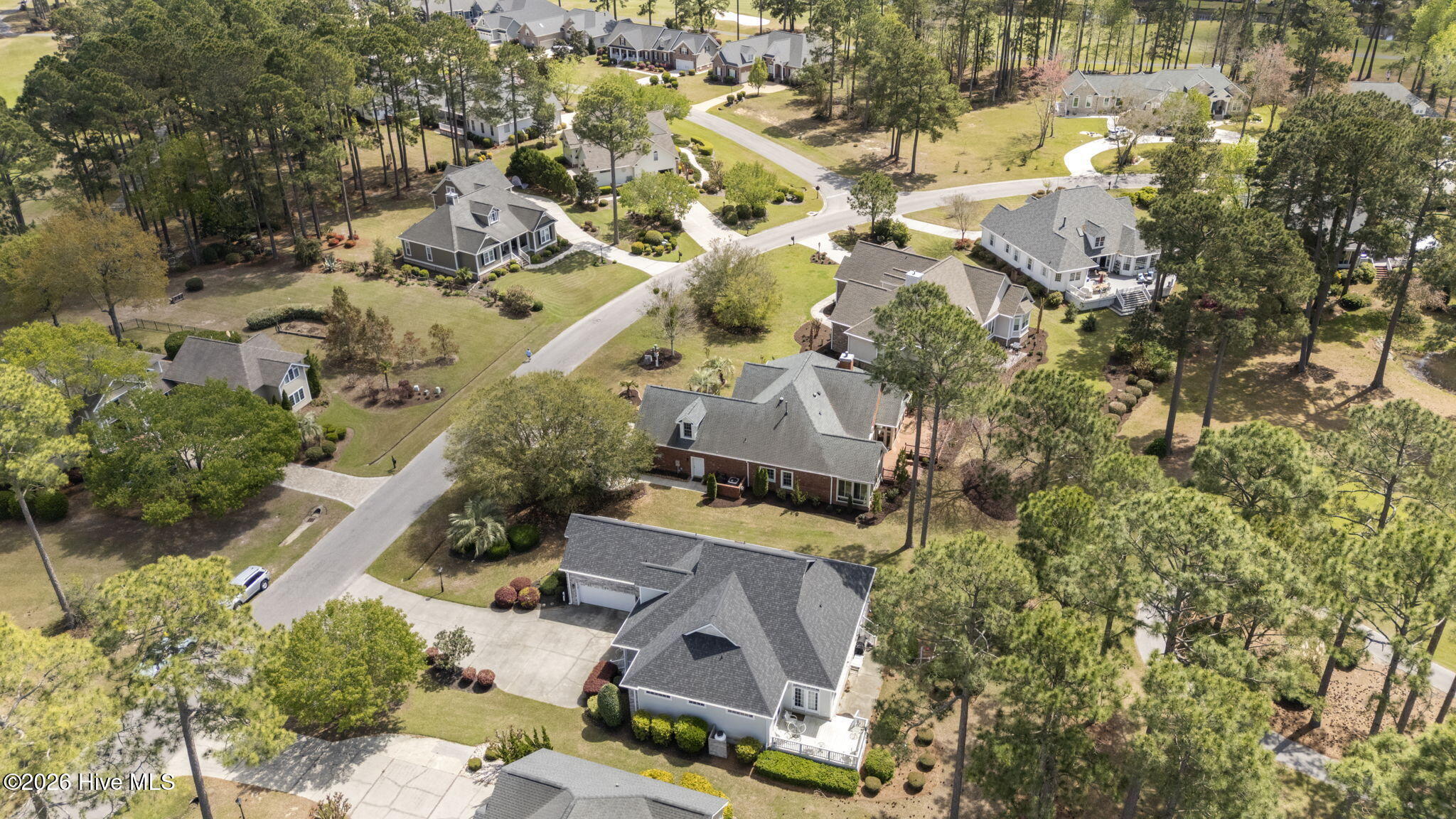 100563951 | Photo 55