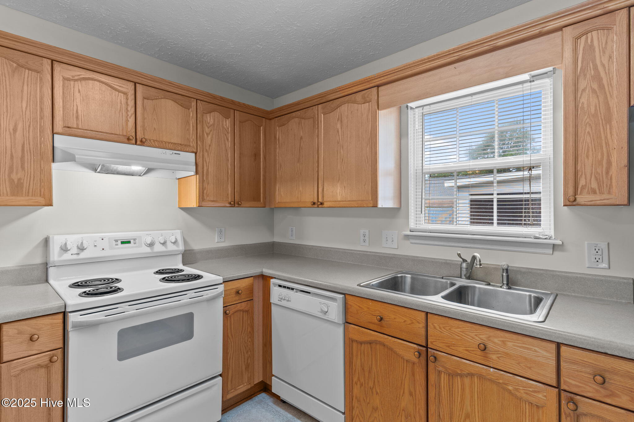 100526319 | Photo 24