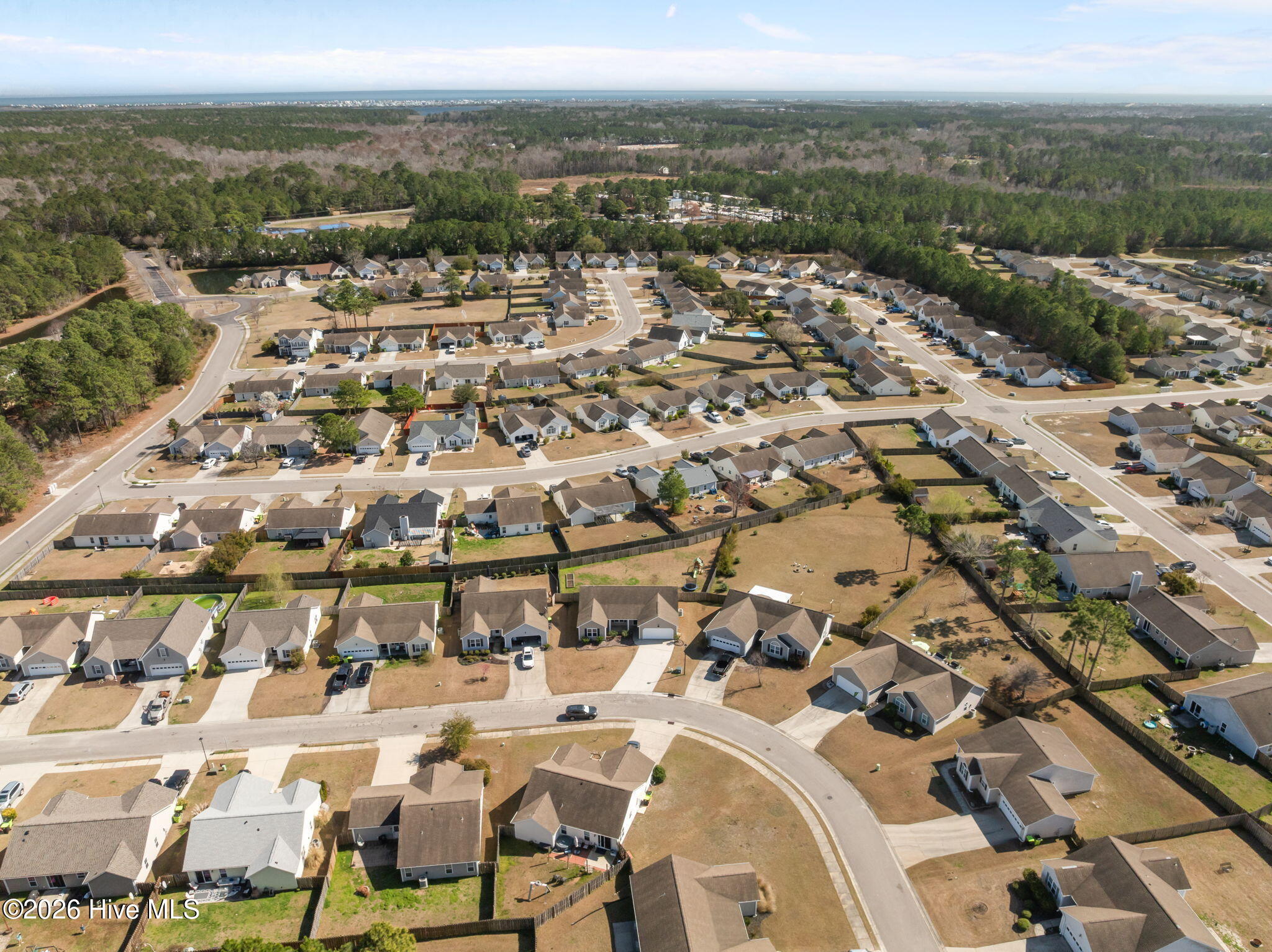 100558999 | Photo 54