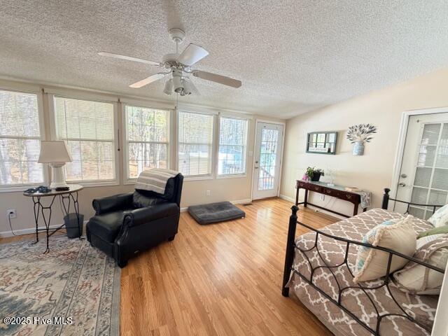 100546387 | Photo 29