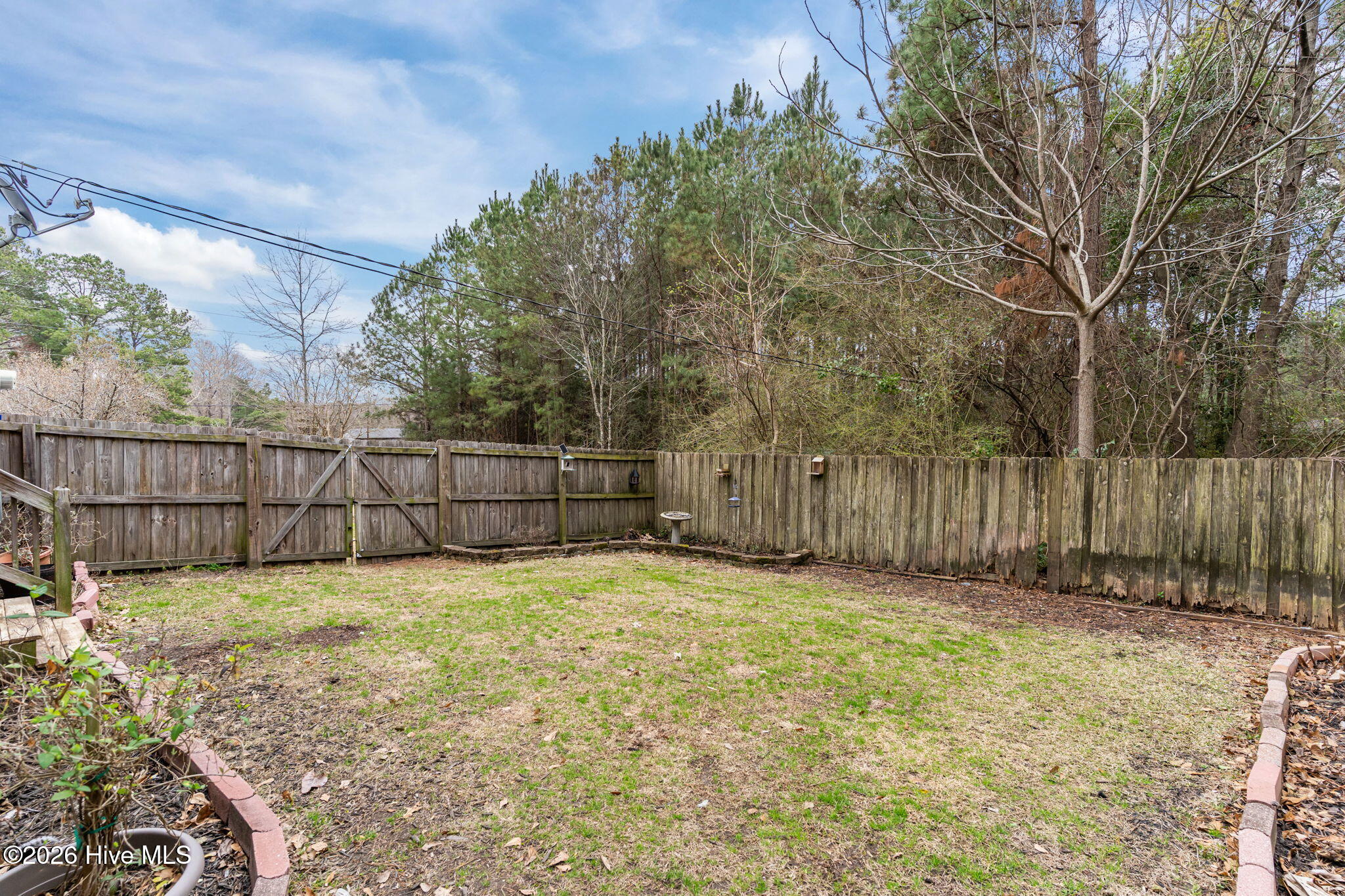 100557661 | Photo 35