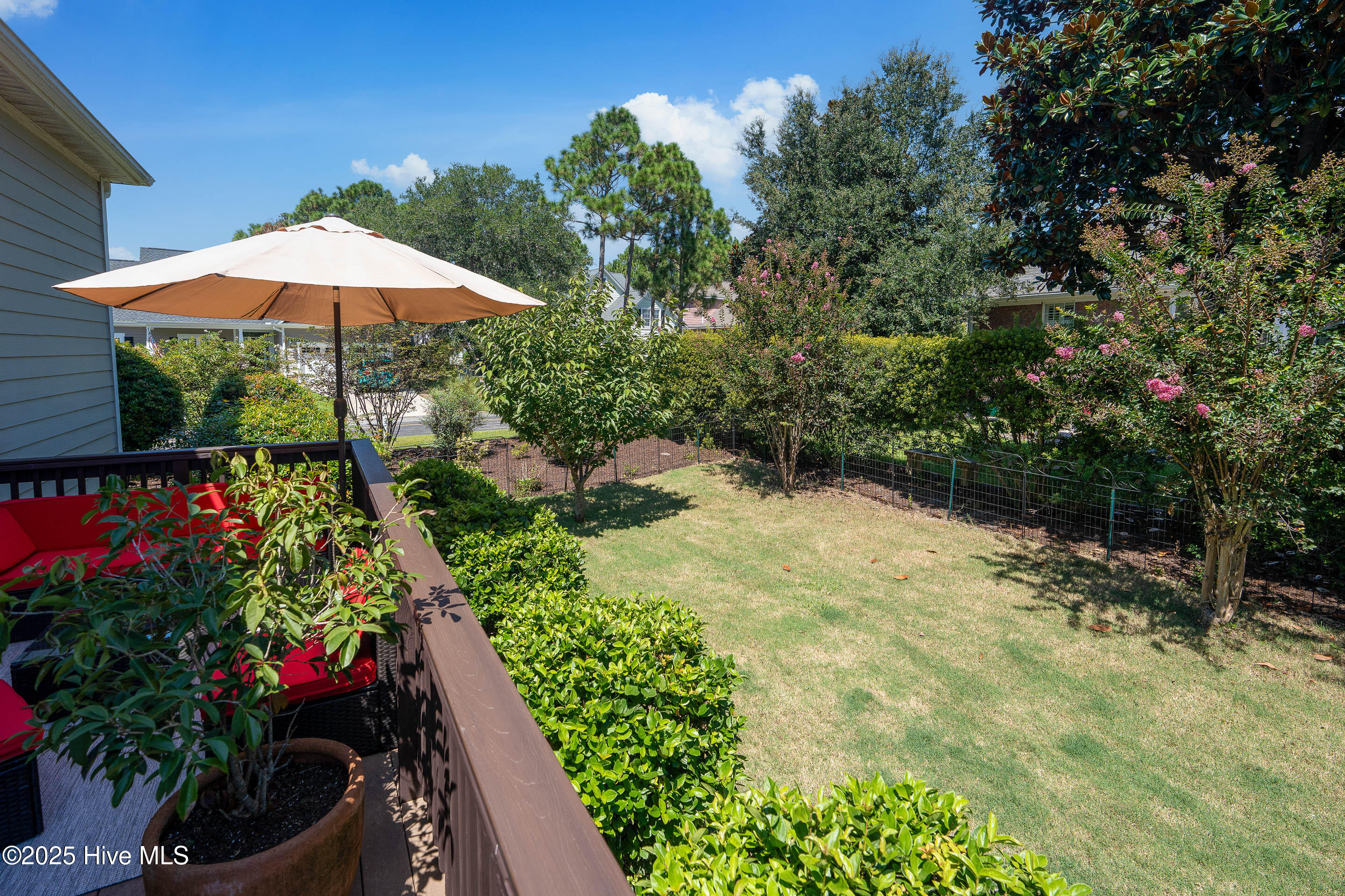 100528274 | Photo 48