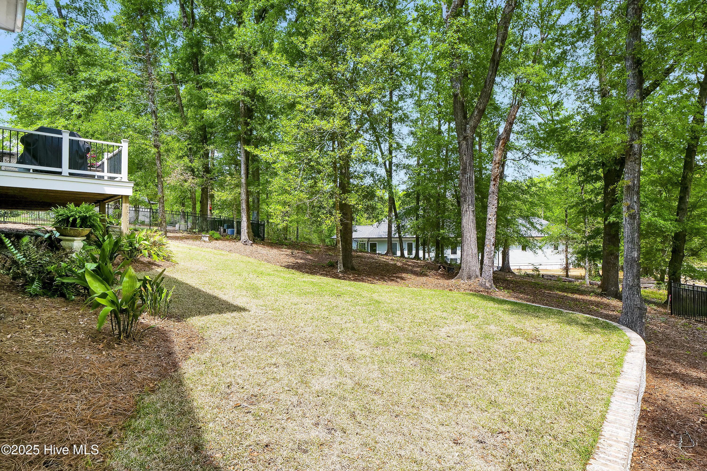 100534393 | Photo 50