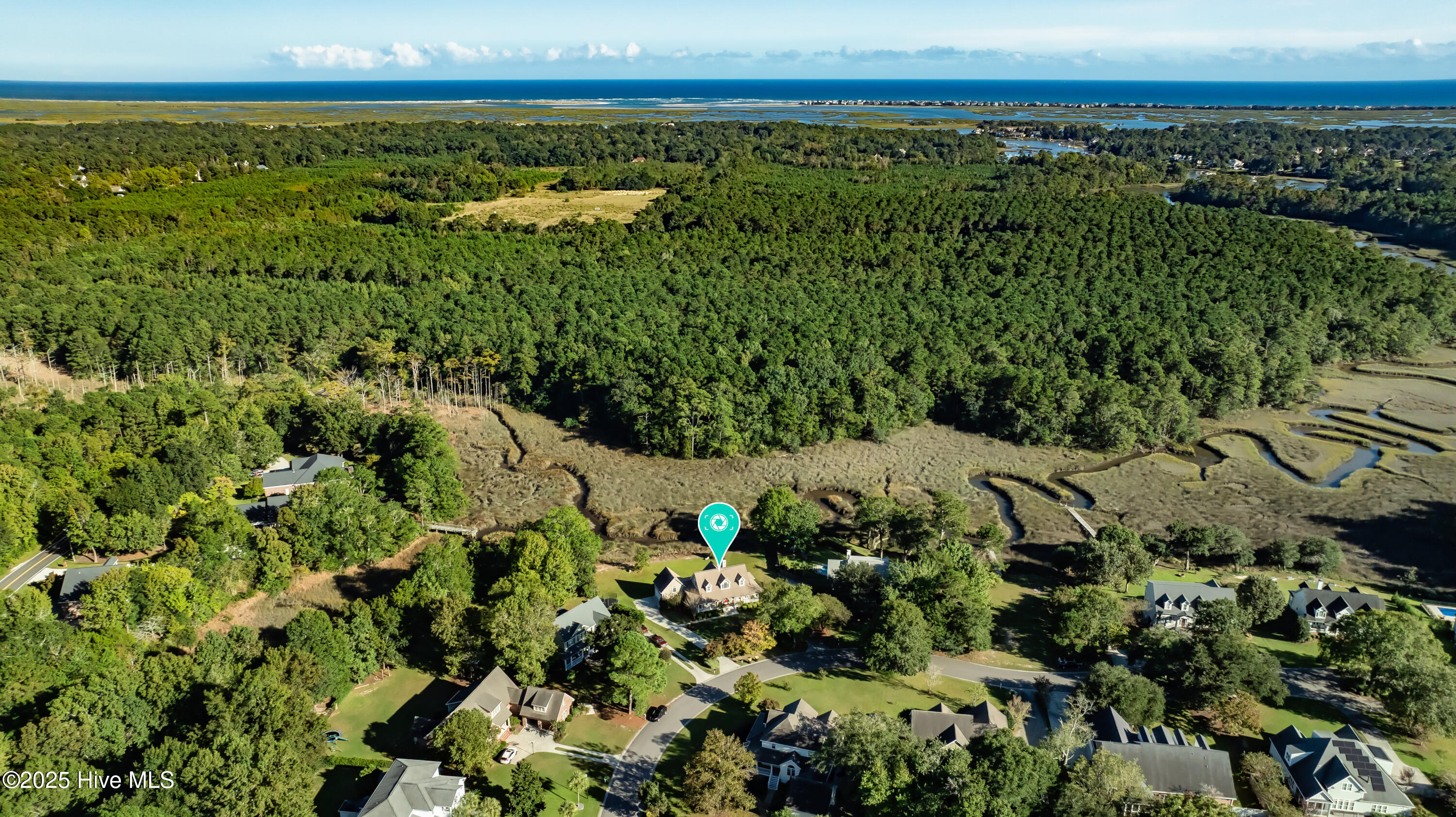 100535458 | Photo 64