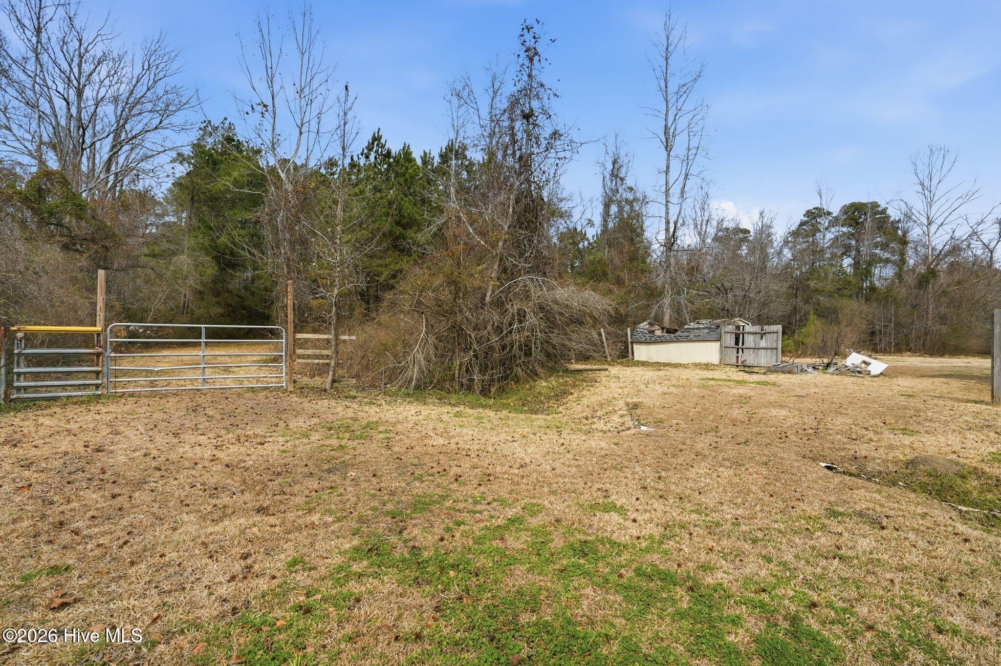 100556115 | Photo 101