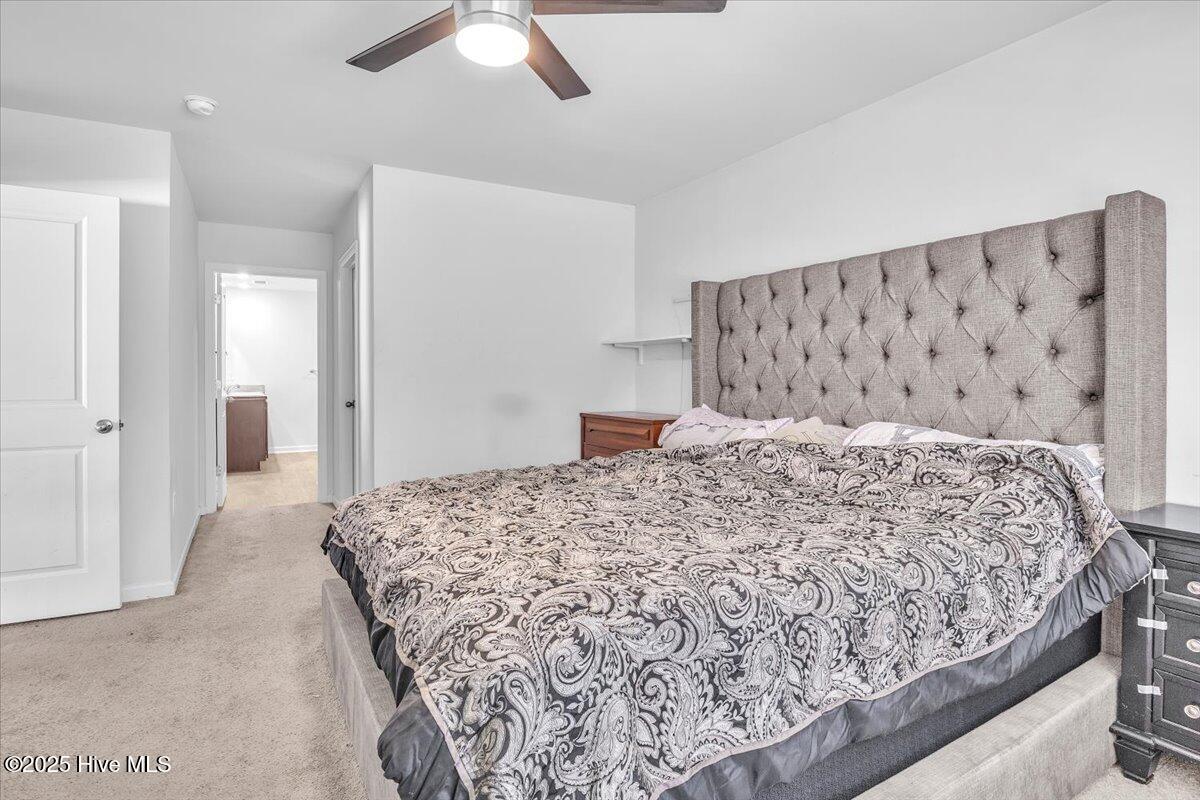 100538073 | Photo 18