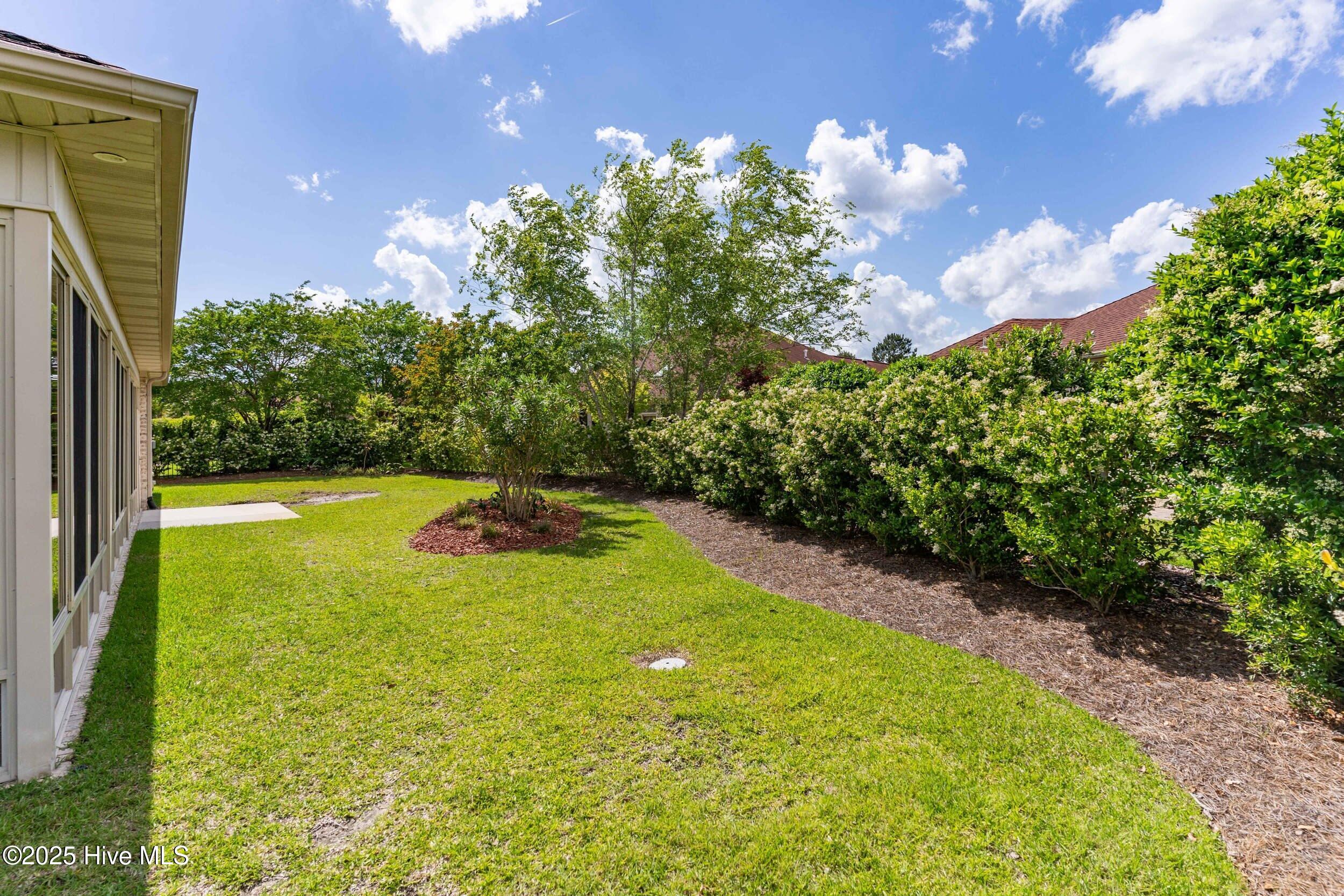 100543015 | Photo 54