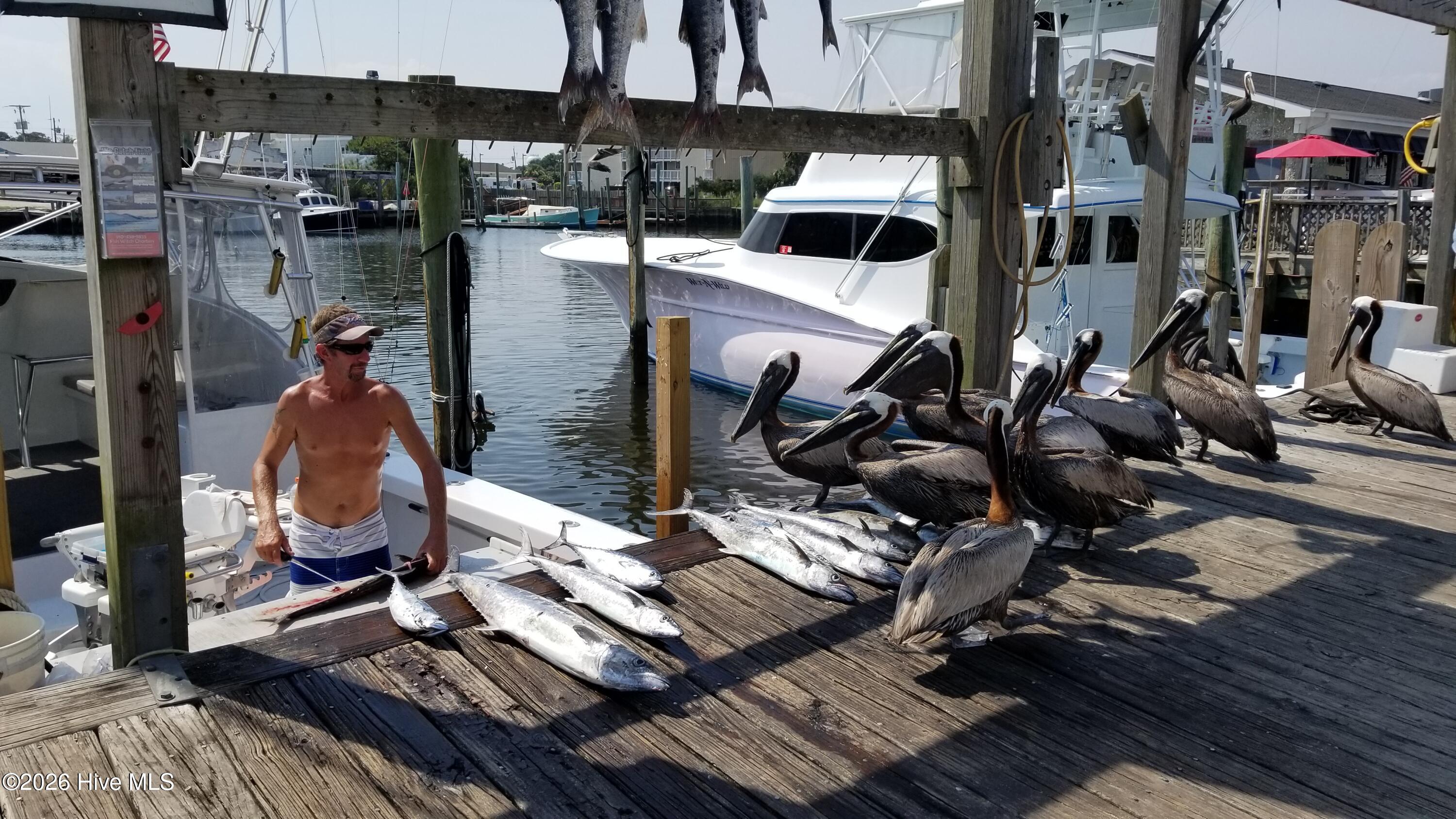 100559910 | Photo 55