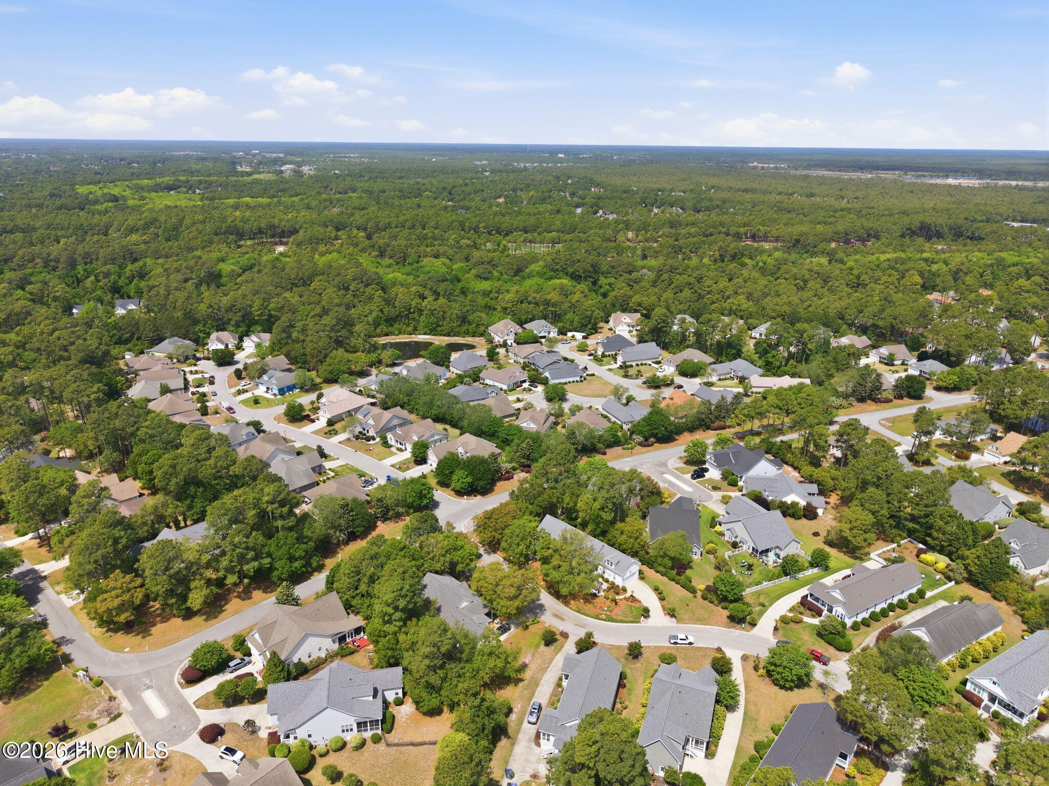 100569459 | Photo 51