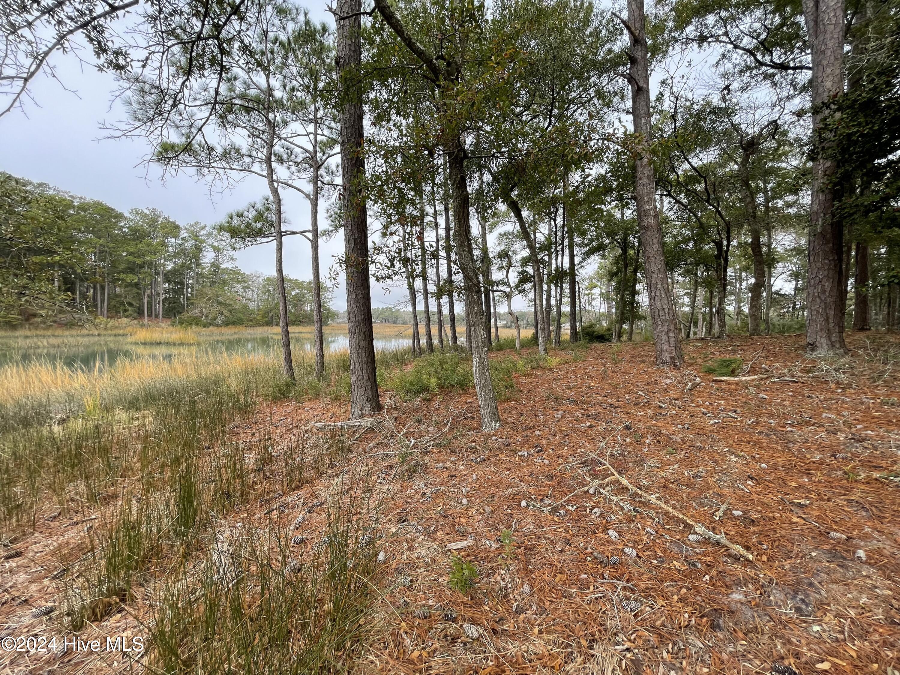 100481360 | Photo 24