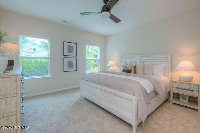 100524734 | Photo 19