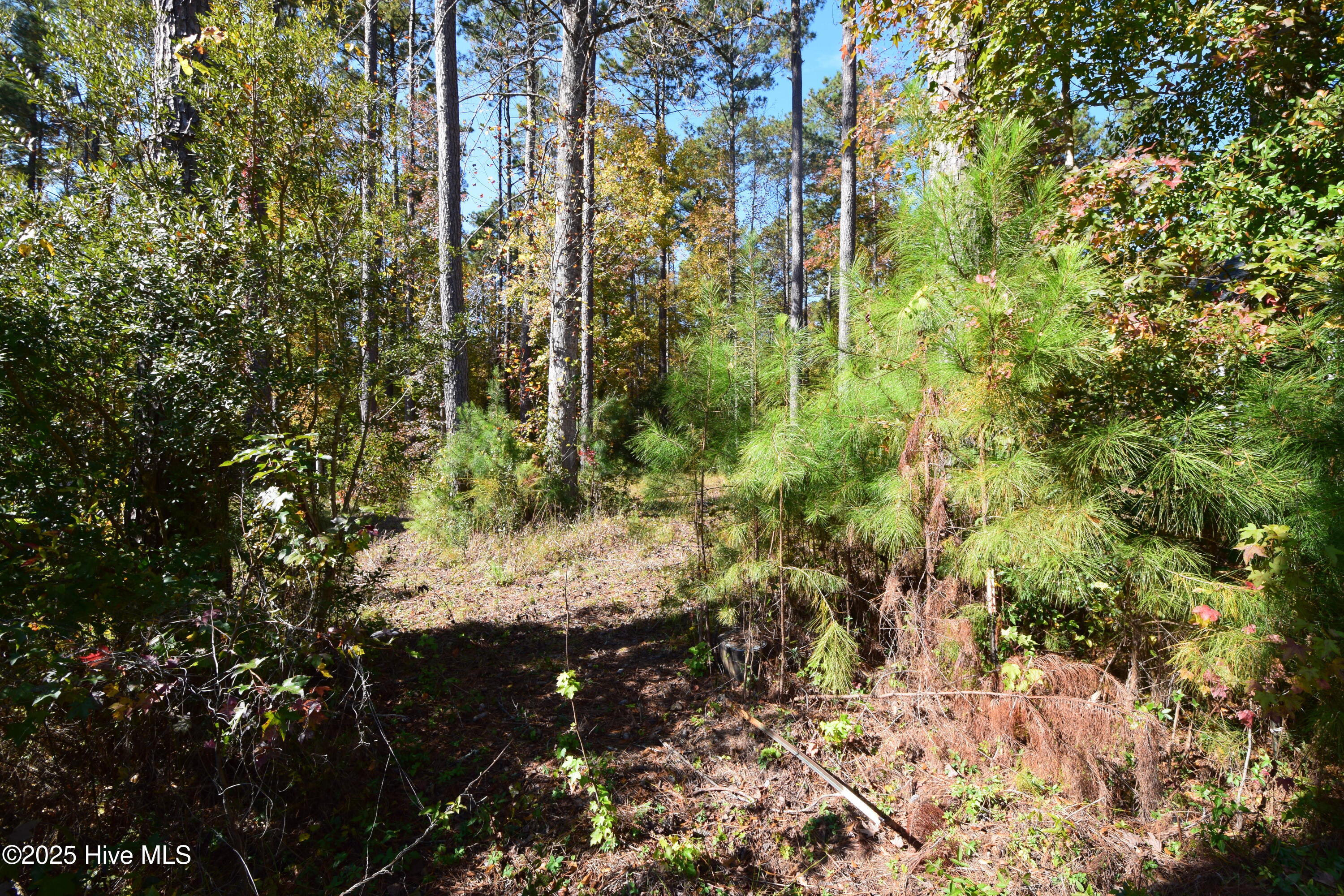 1005 16 Alabaster Drive,New Bern