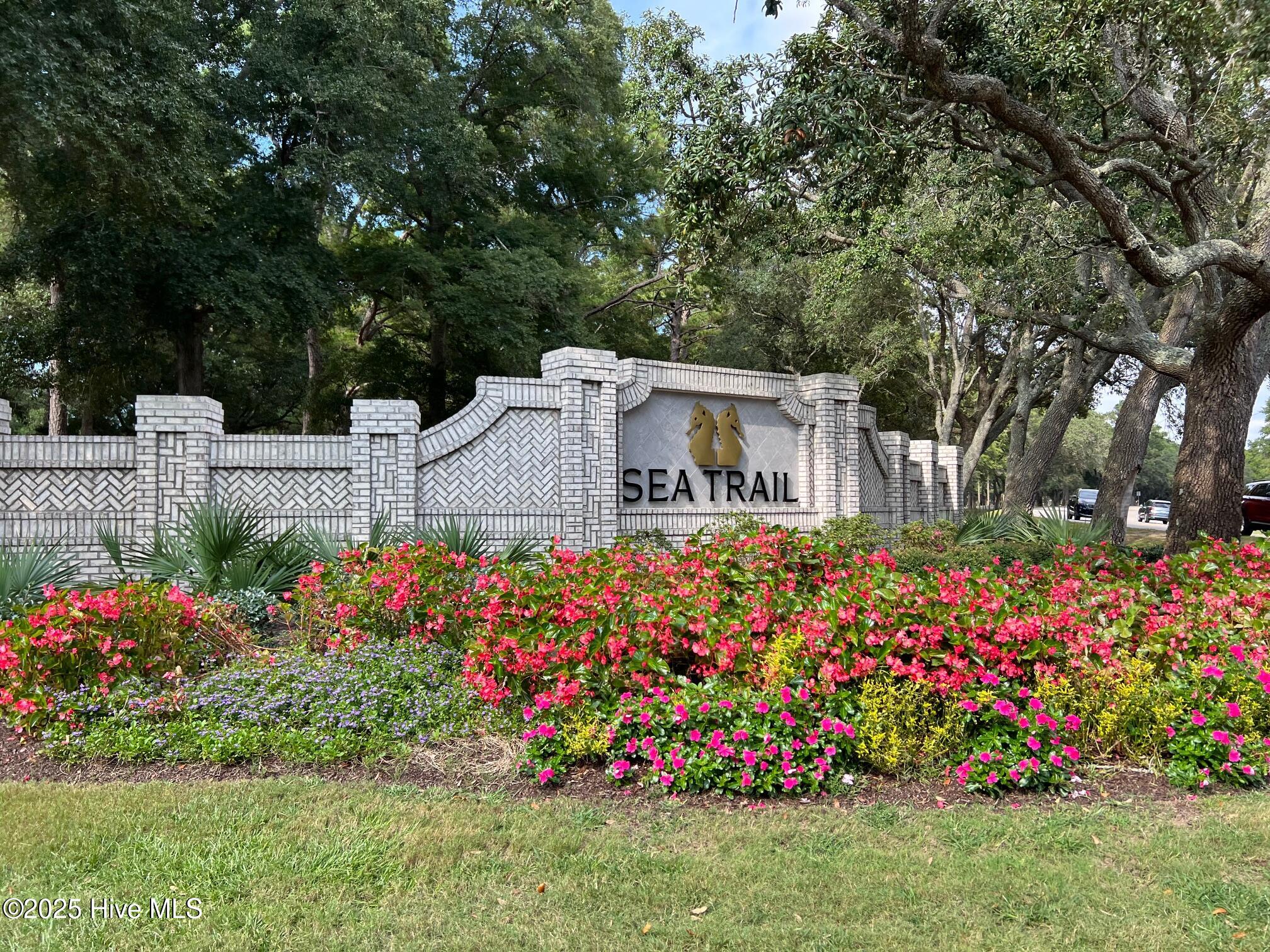 100558918 | Photo 50