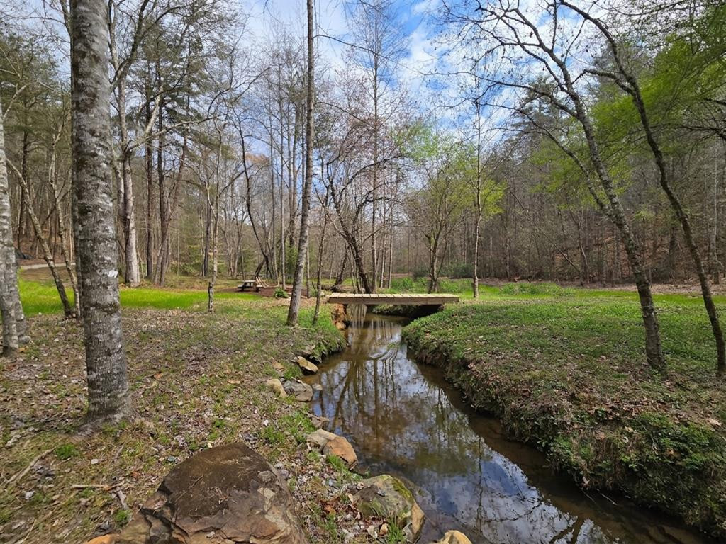 Foot bridge over the creek