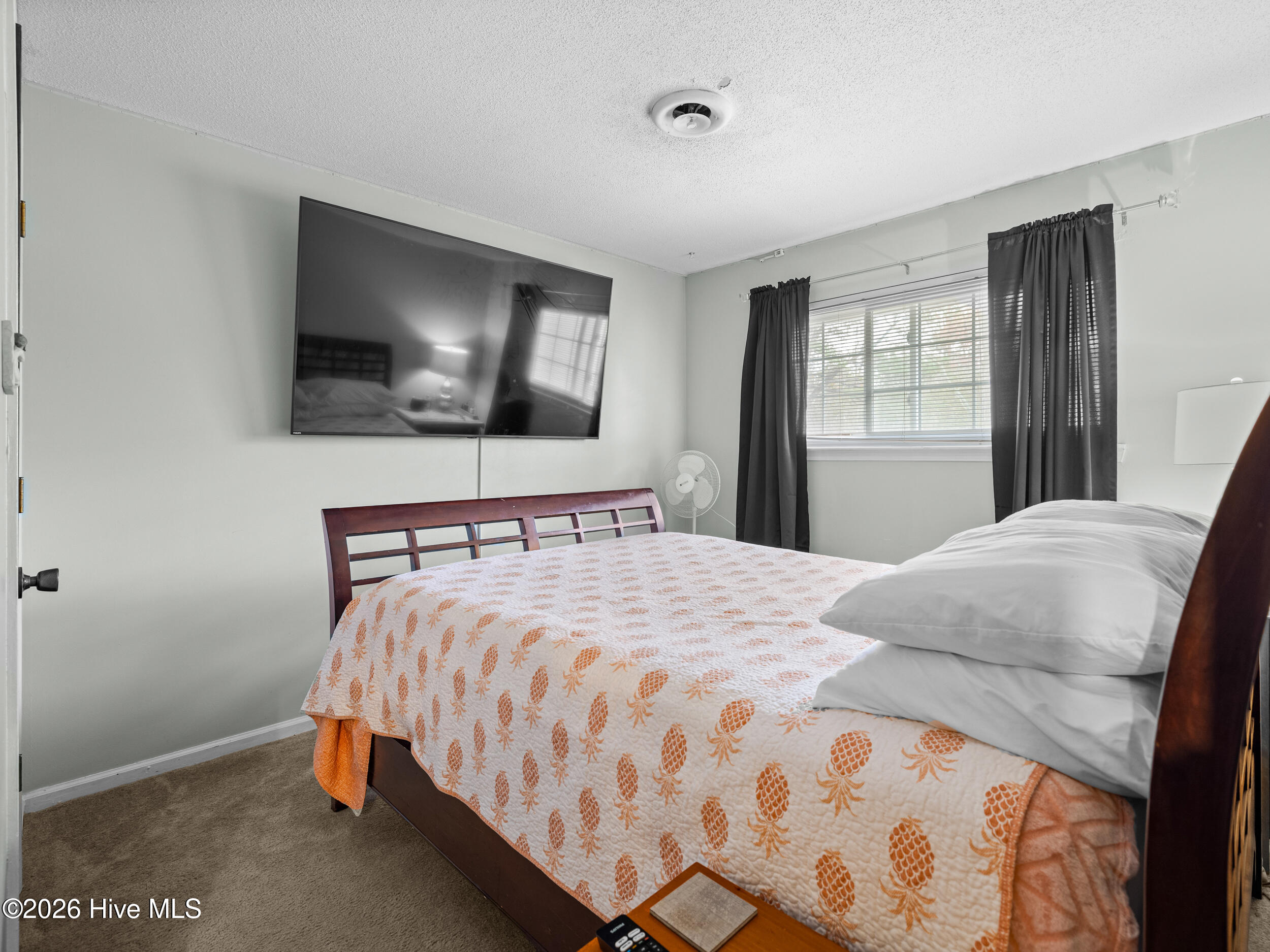 100556256 | Photo 24