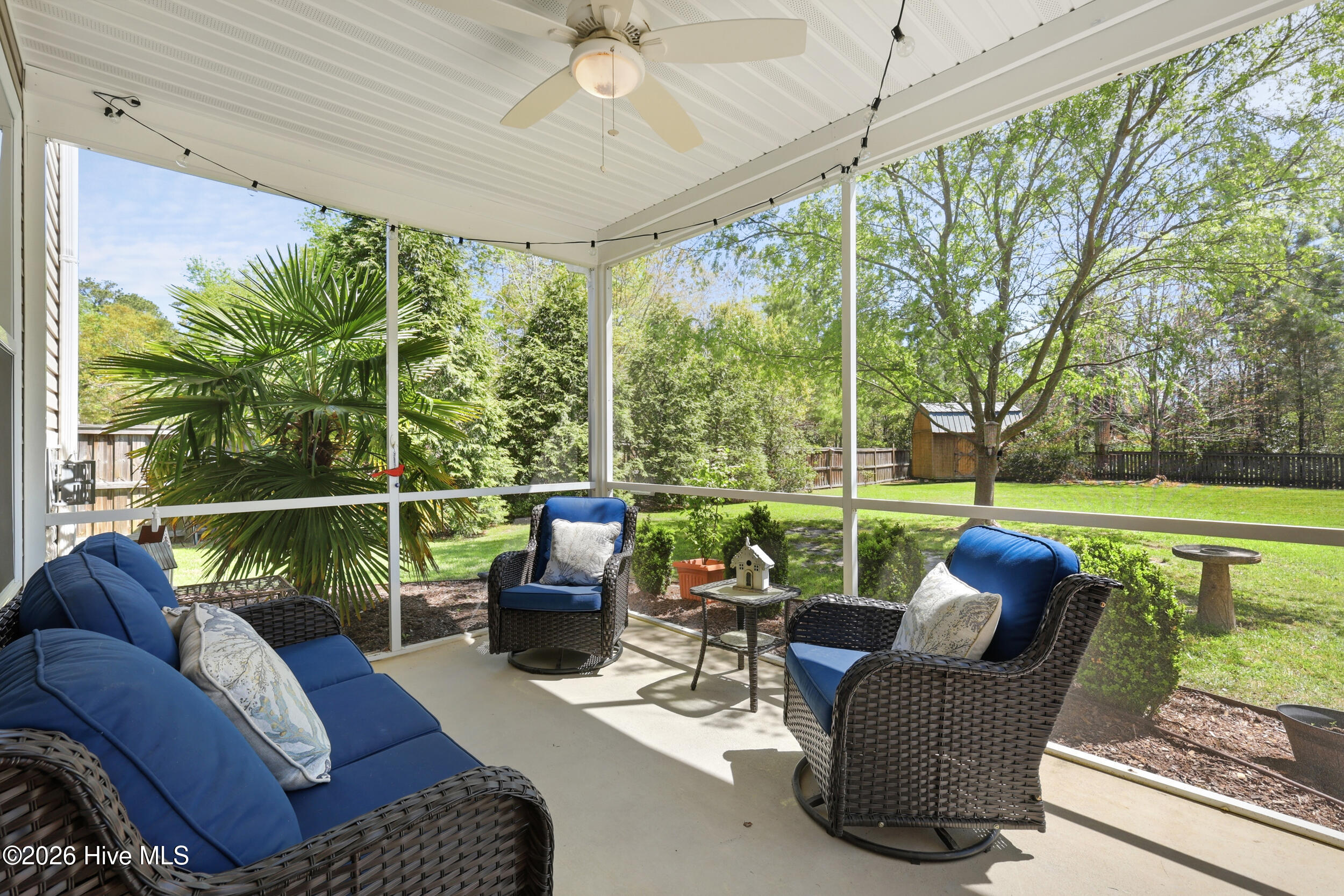 100565856 | Photo 36