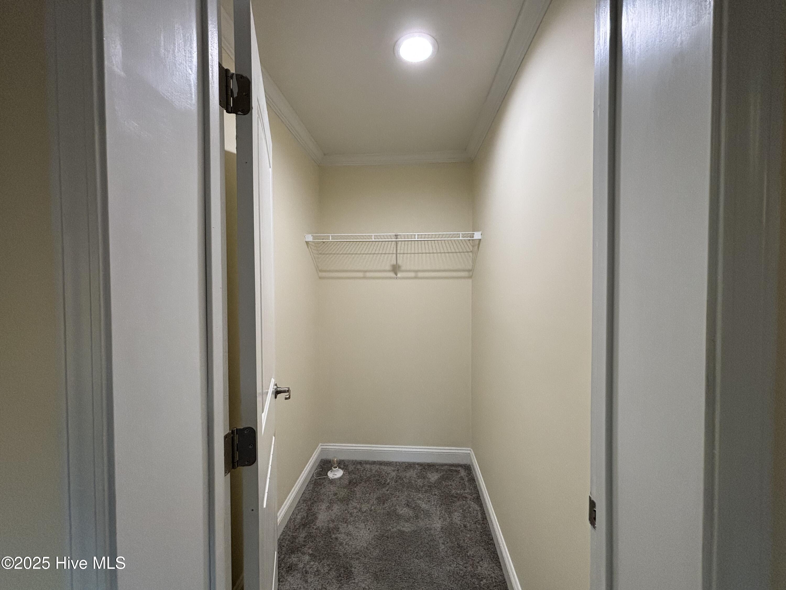 100540398 | Photo 30