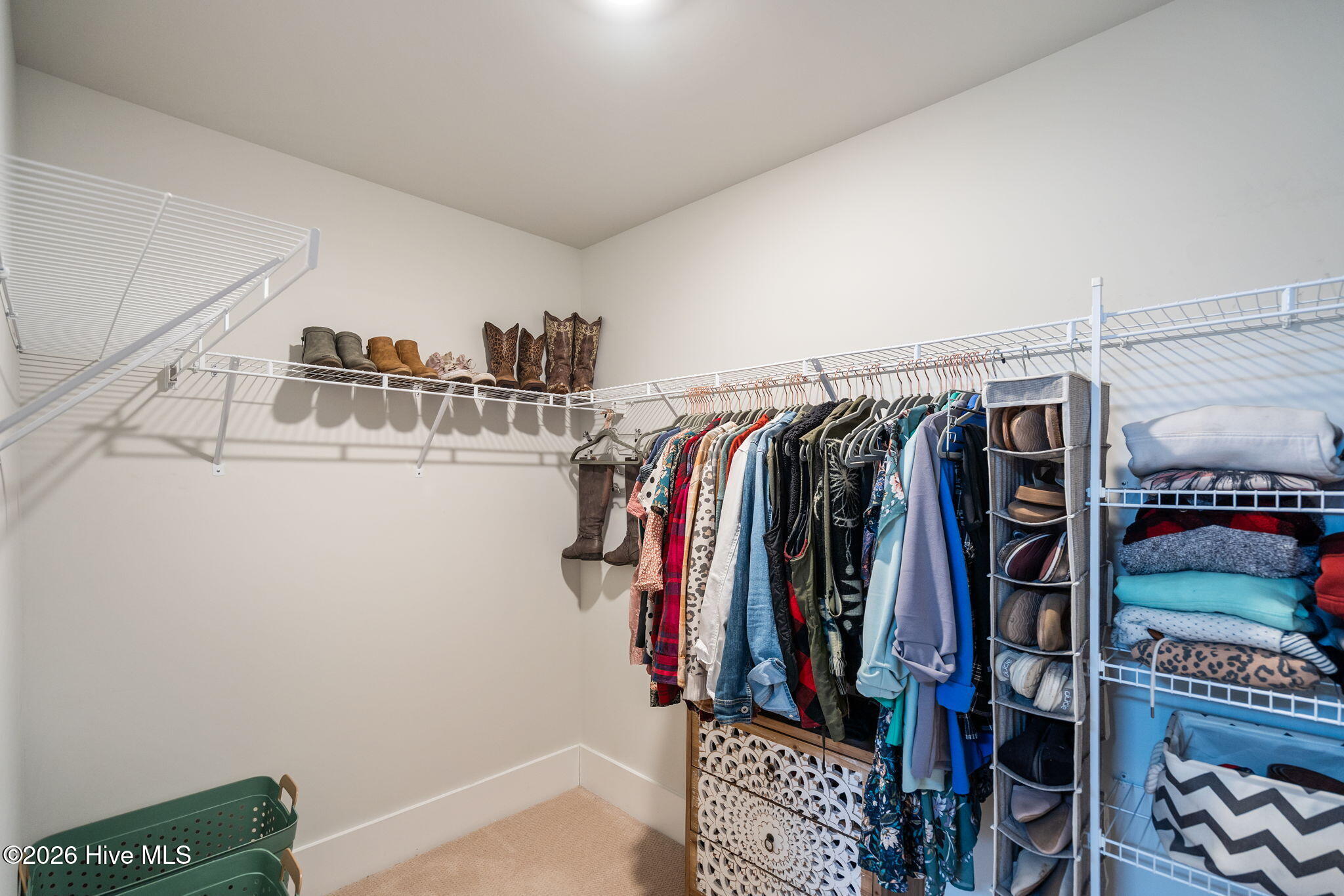 100558026 | Photo 42