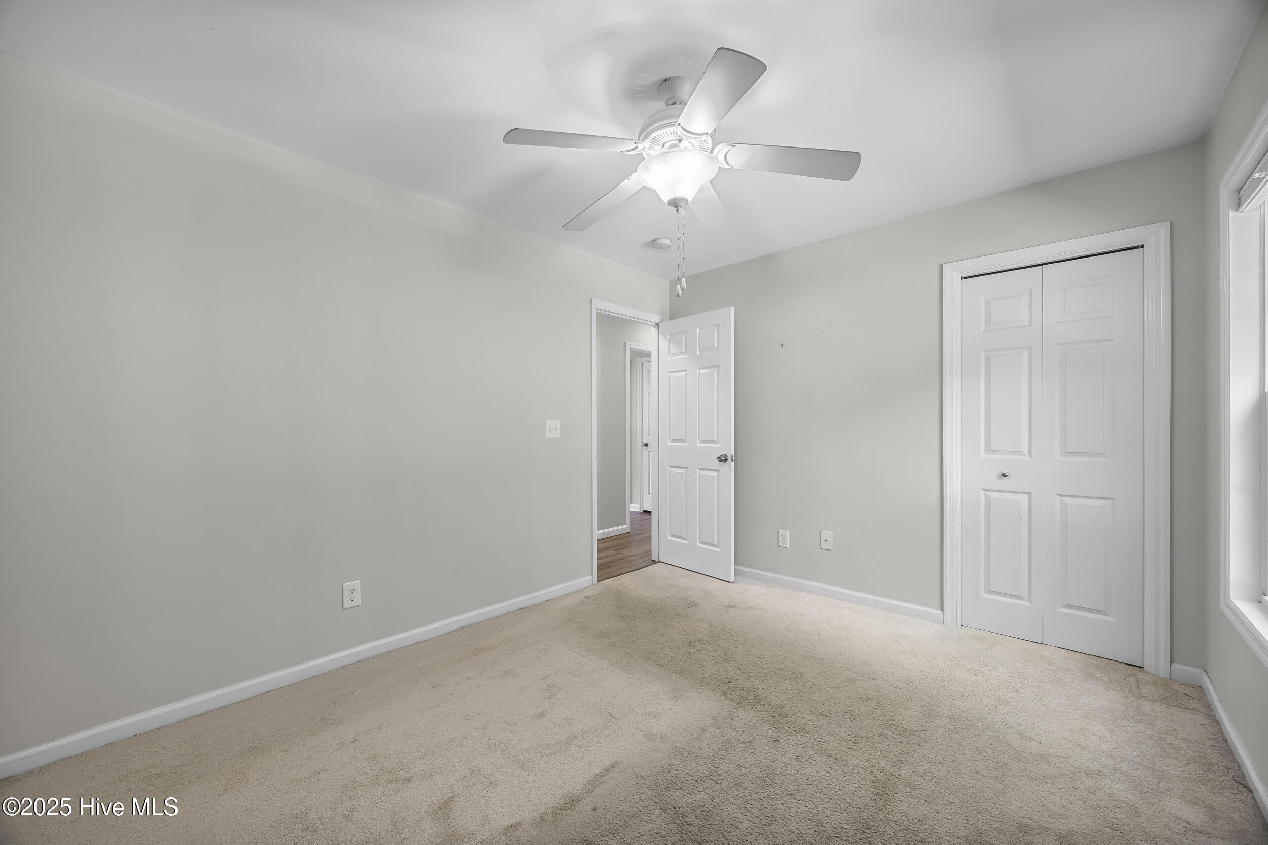 100533405 | Photo 23