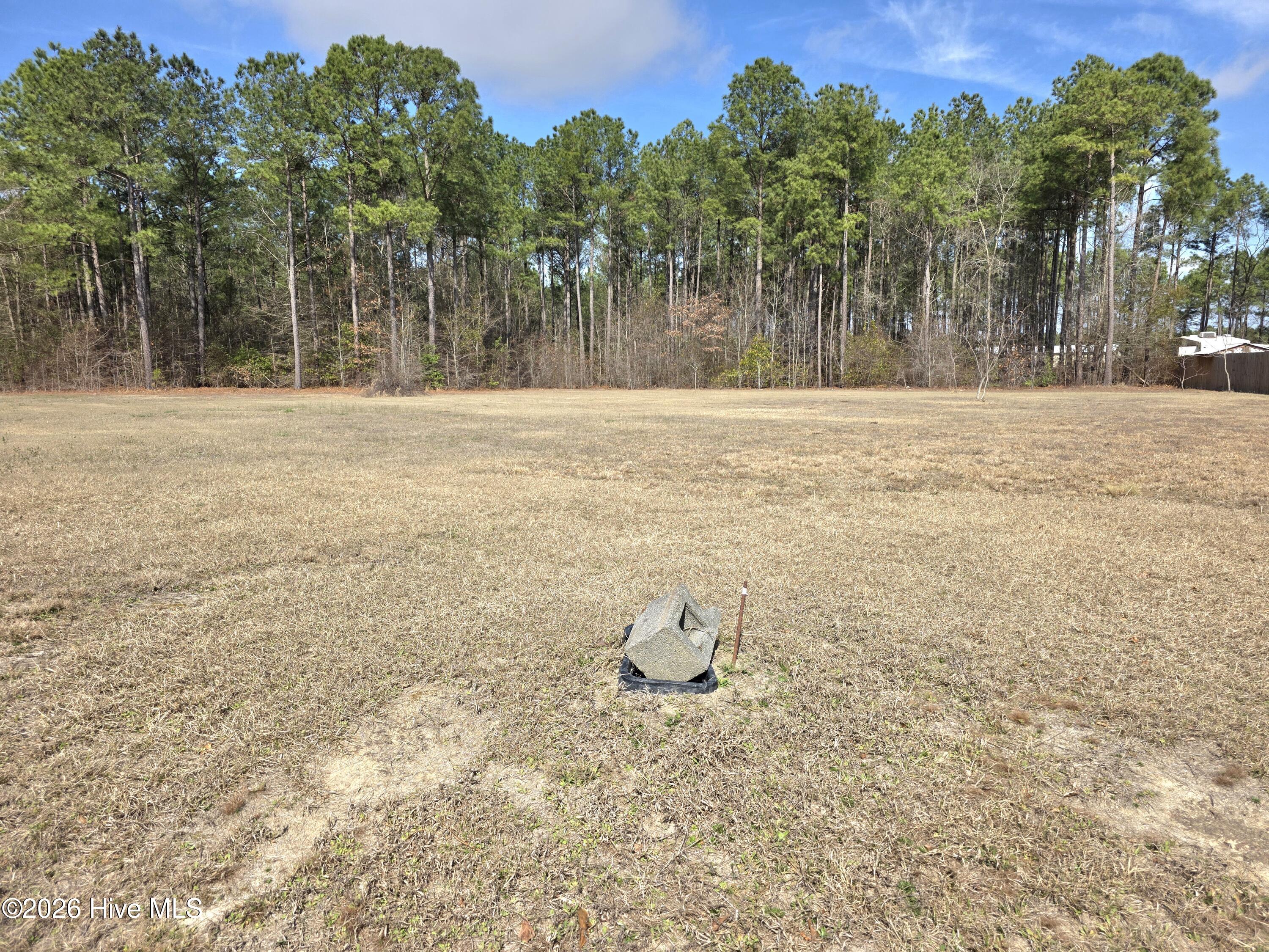 Homes for sale in Dunn, NC | 290 Raynor Sands Dr, Dunn, NC 28334 | MLS# 100558903