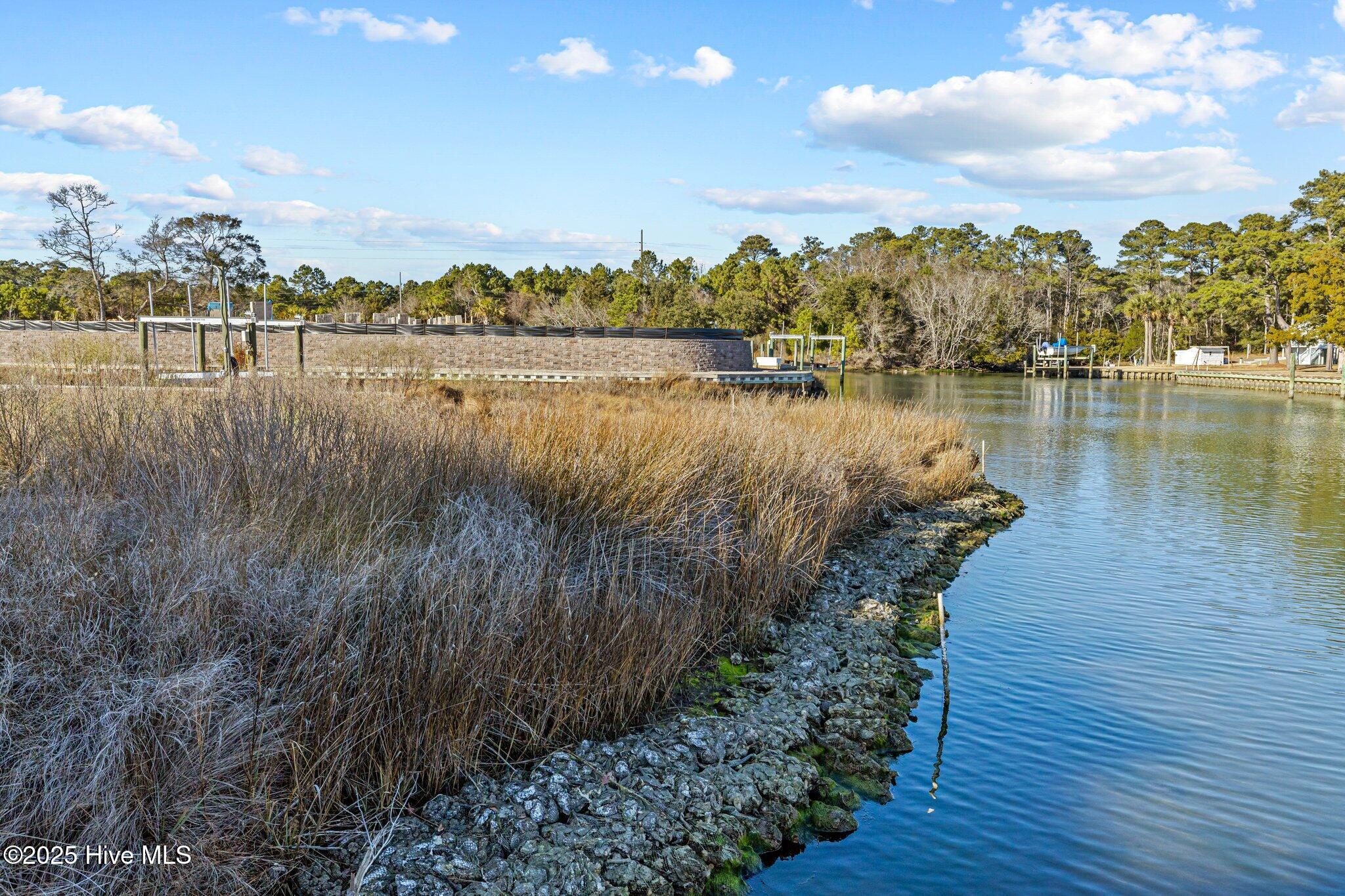 100532073 | Photo 10