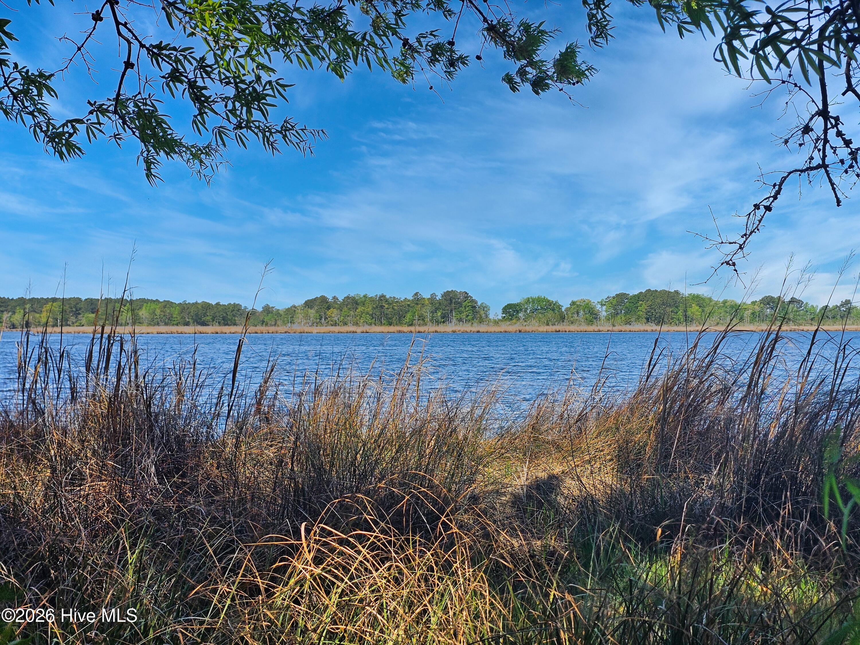 Lot 52 Pungo Trails, Pinetown, North Carolina, 0 ,Residential Lot,For sale,Pungo Trails,100568653