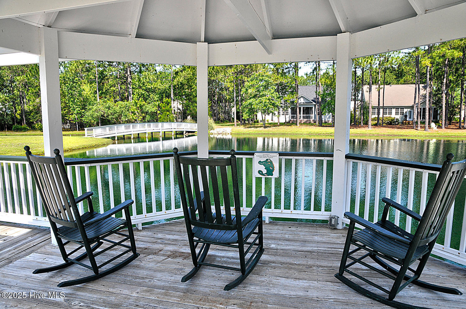 100537536 | Photo 63