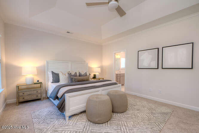 100540645 | Photo 19