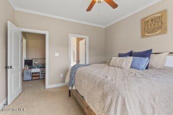 100559576 | Photo 23