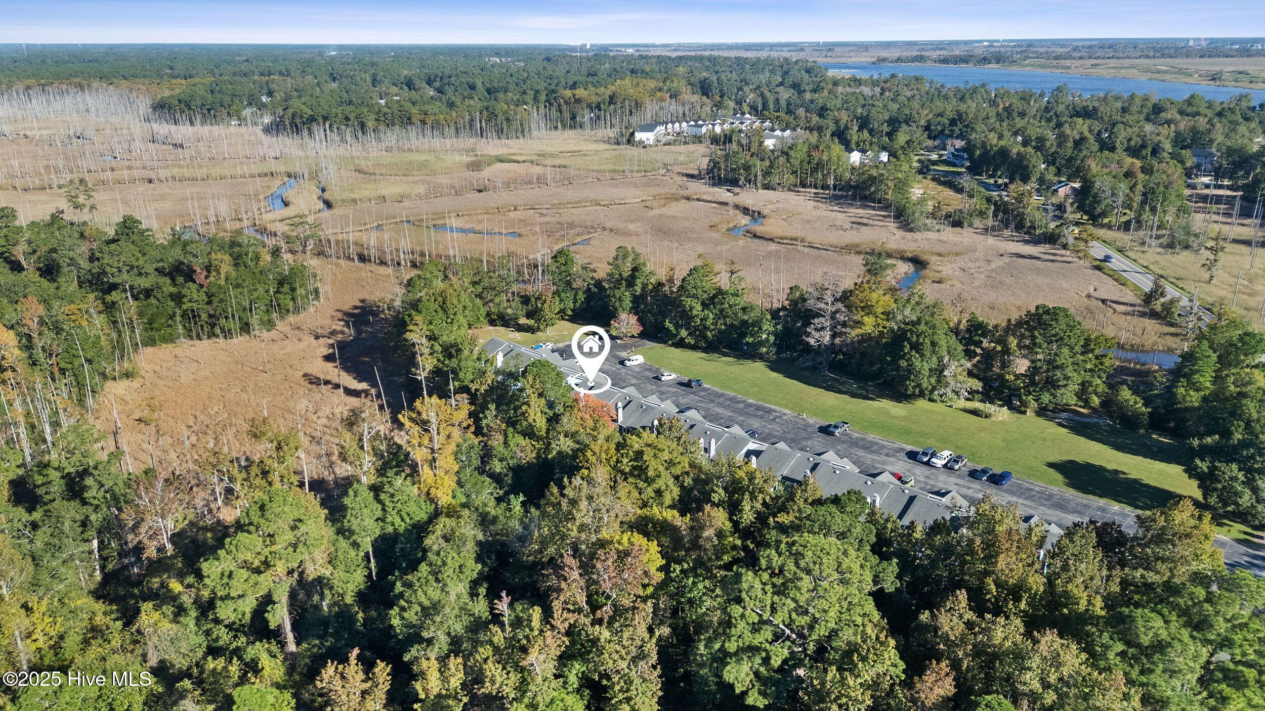 100537542 | Photo 33