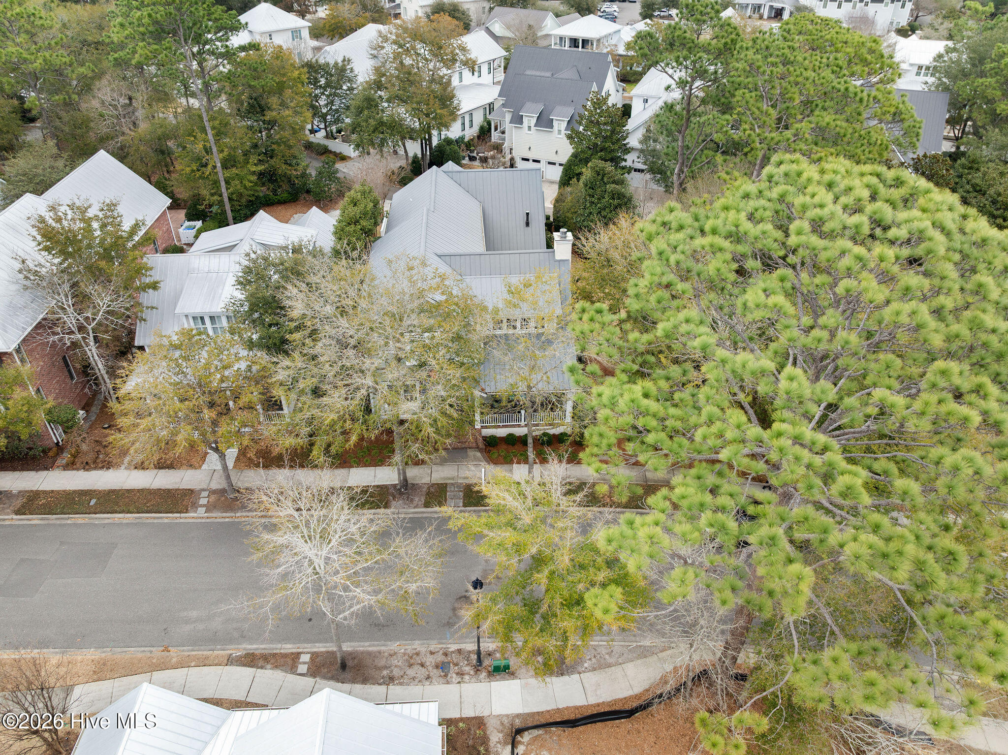 100553604 | Photo 95