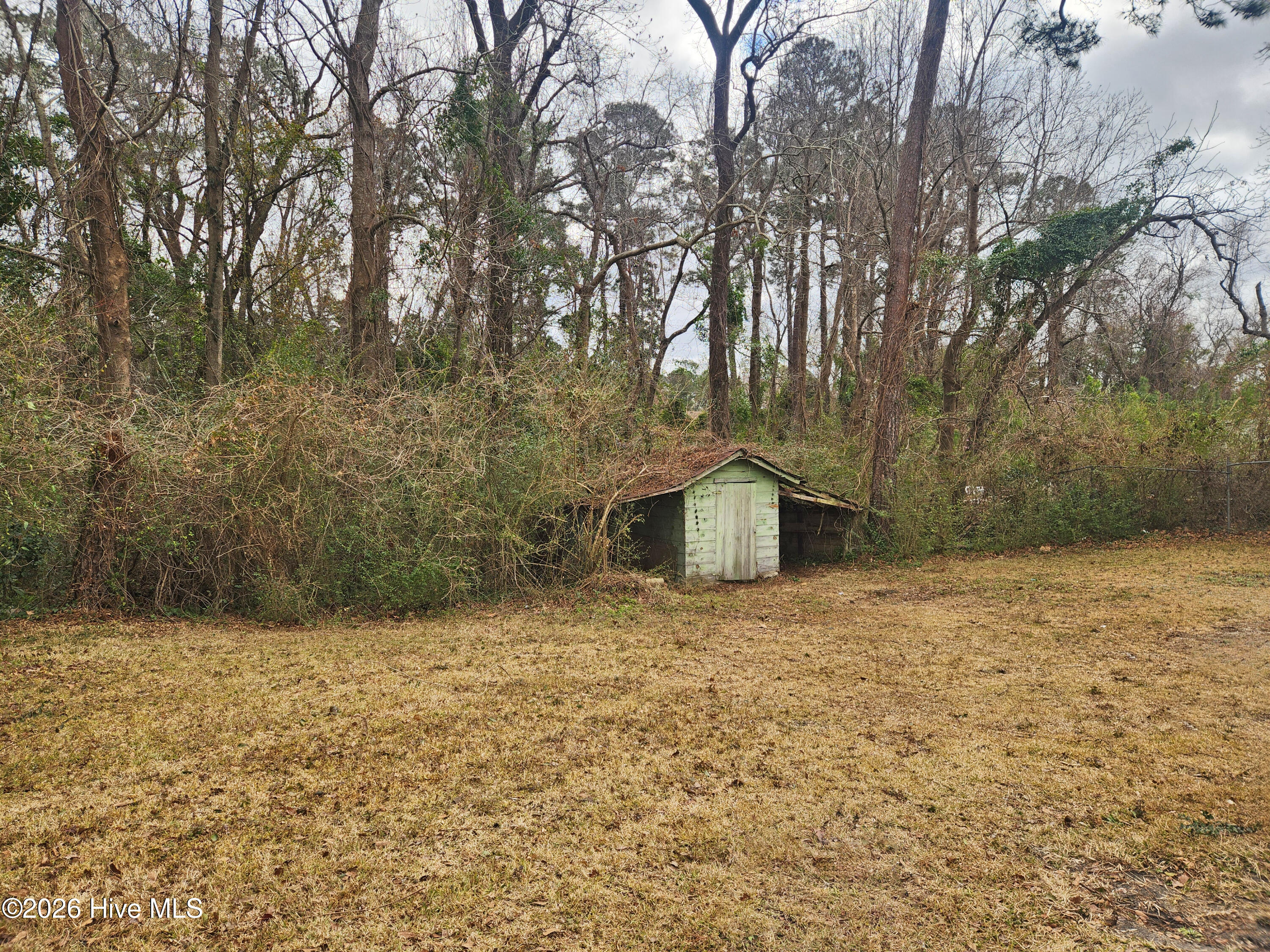 100555298 | Photo 24