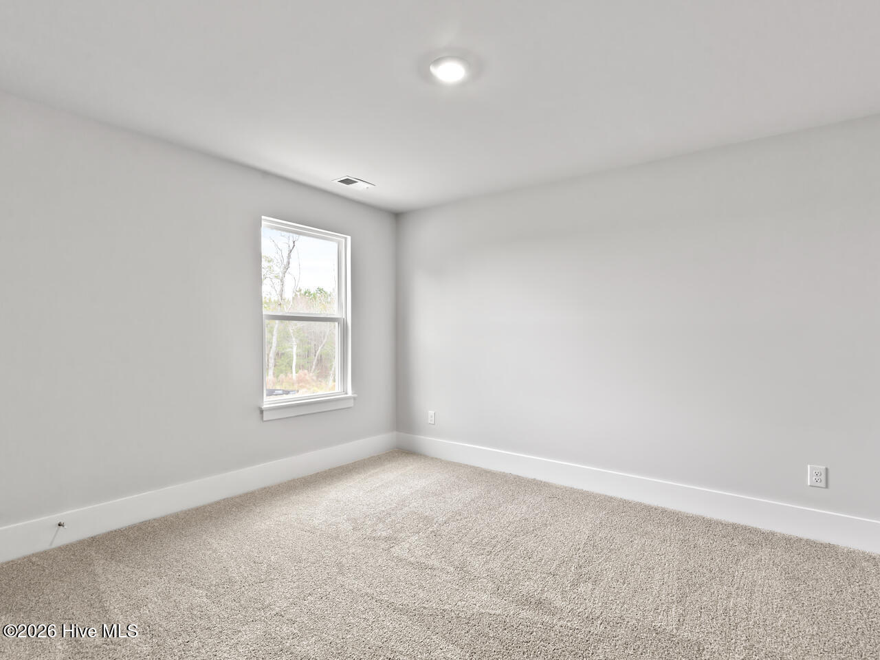 100557631 | Photo 35