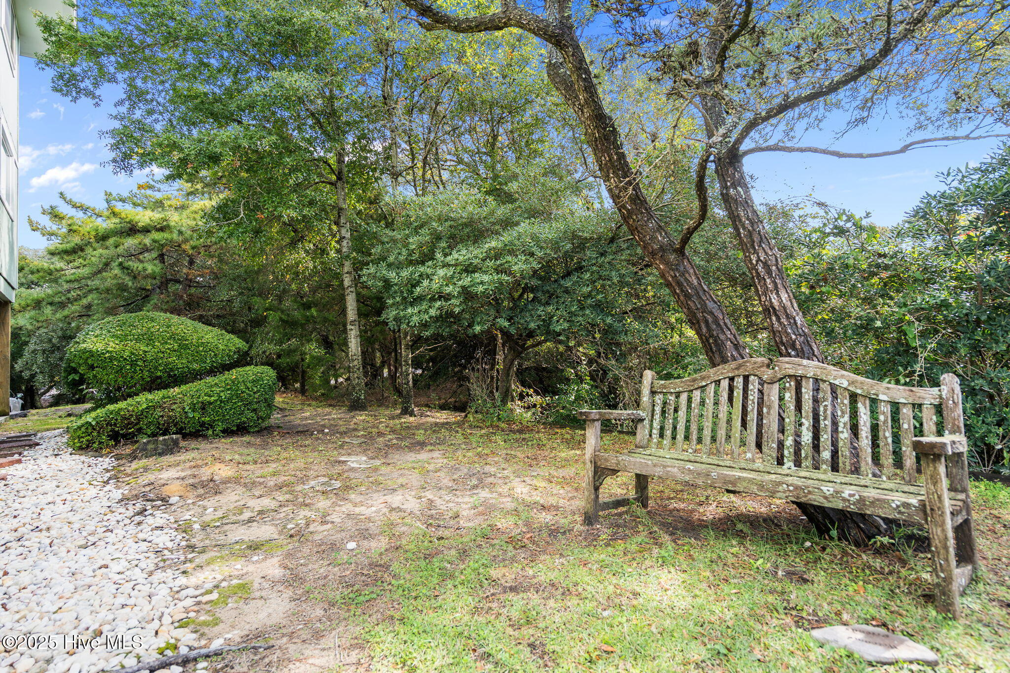 100539622 | Photo 54