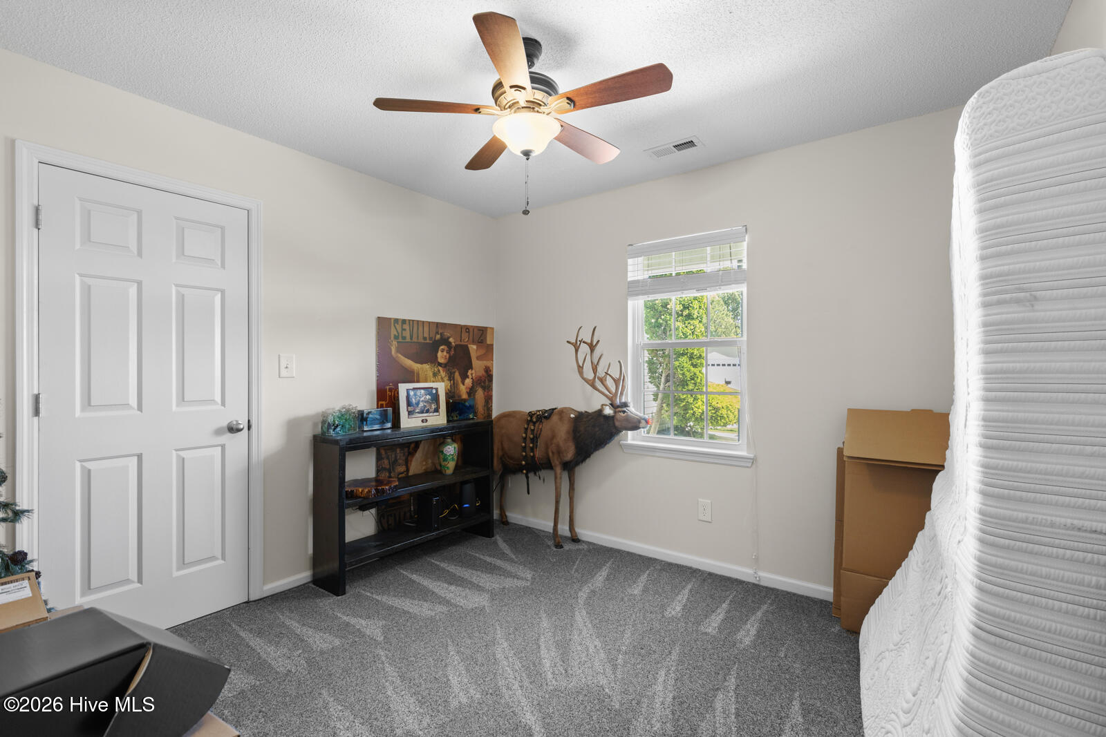 100568558 | Photo 24