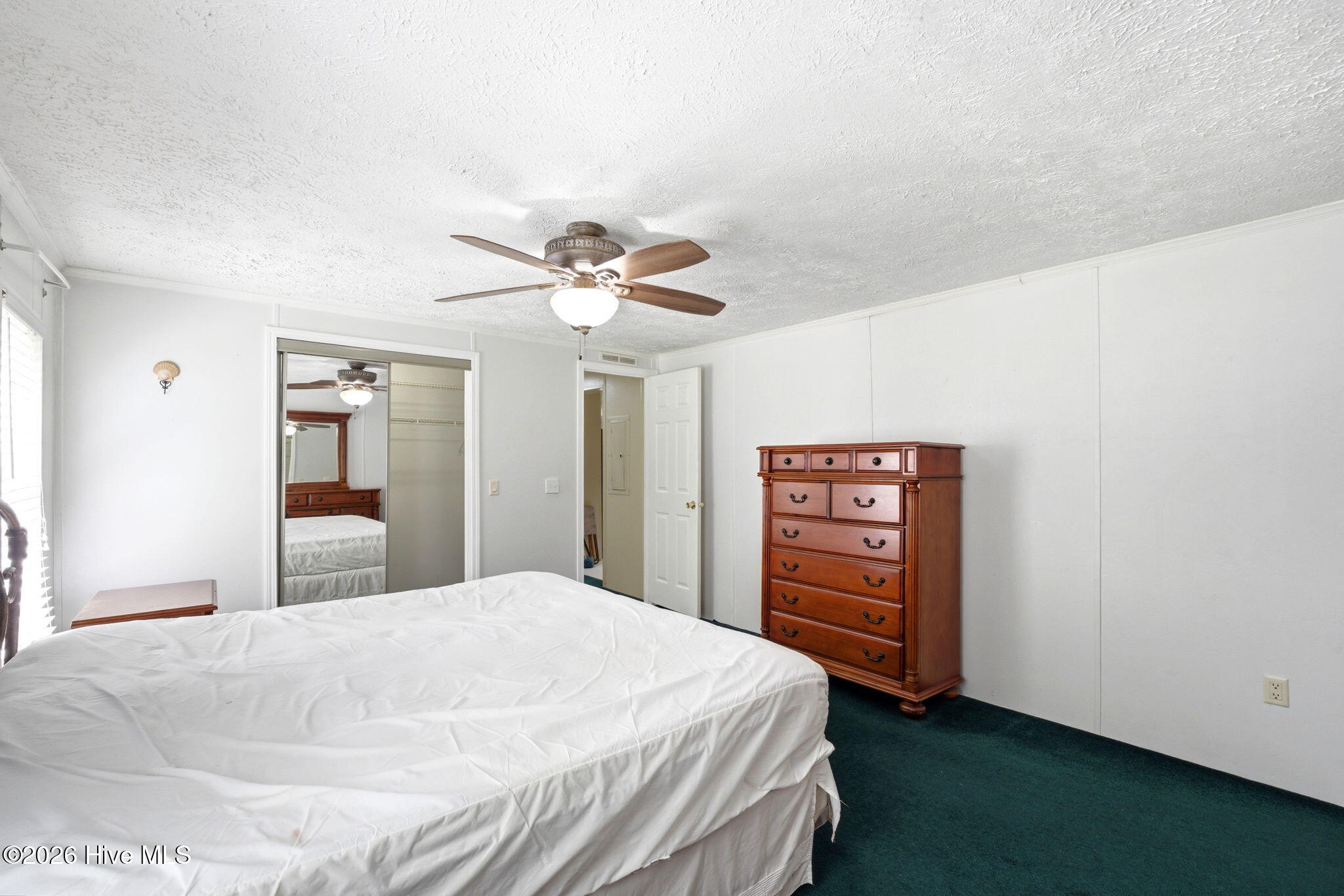 100568157 | Photo 29