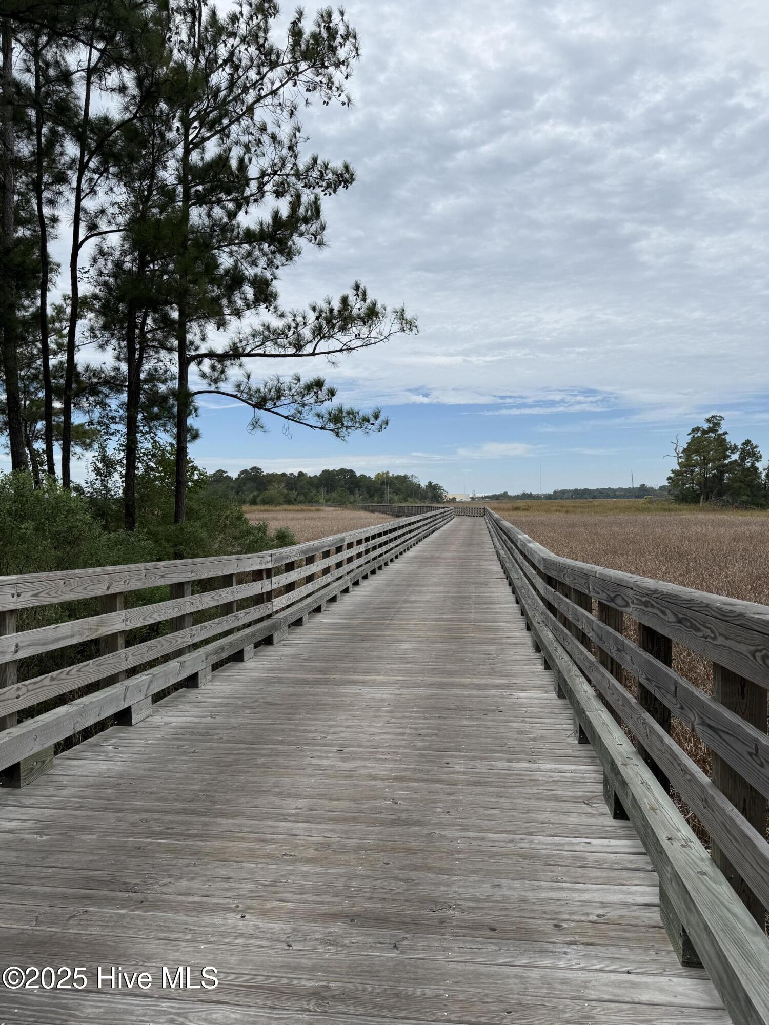 100531935 | Photo 12