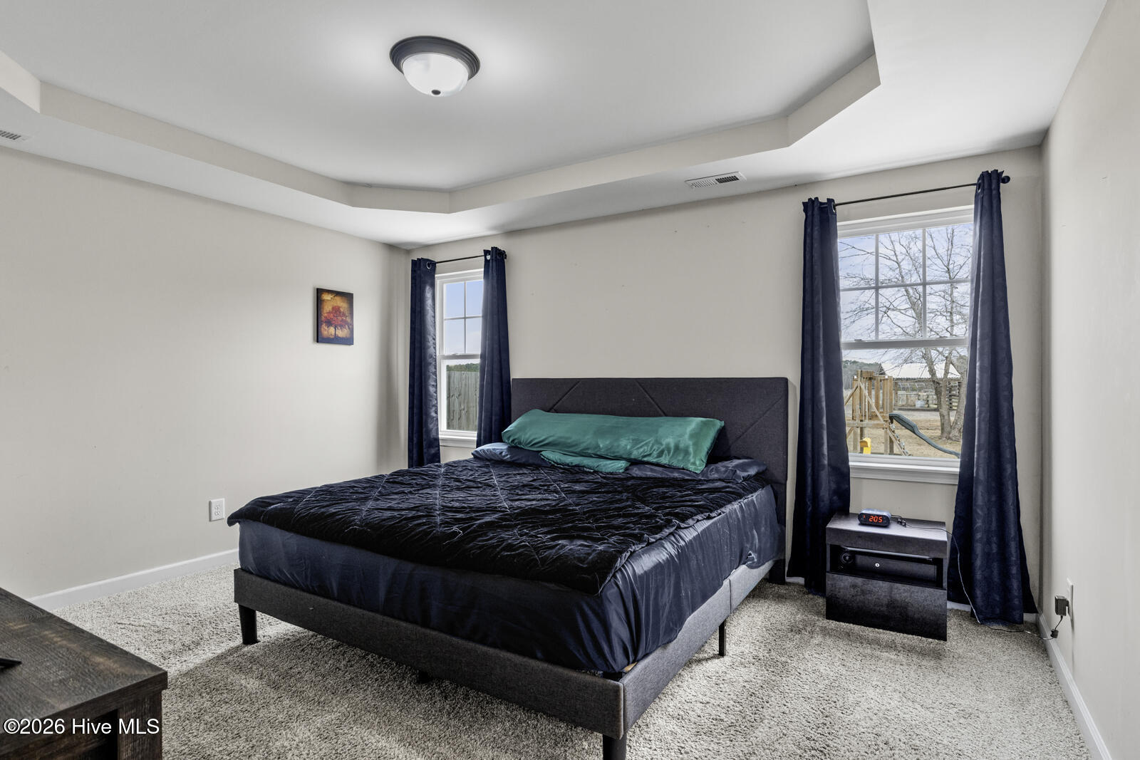 100558057 | Photo 11