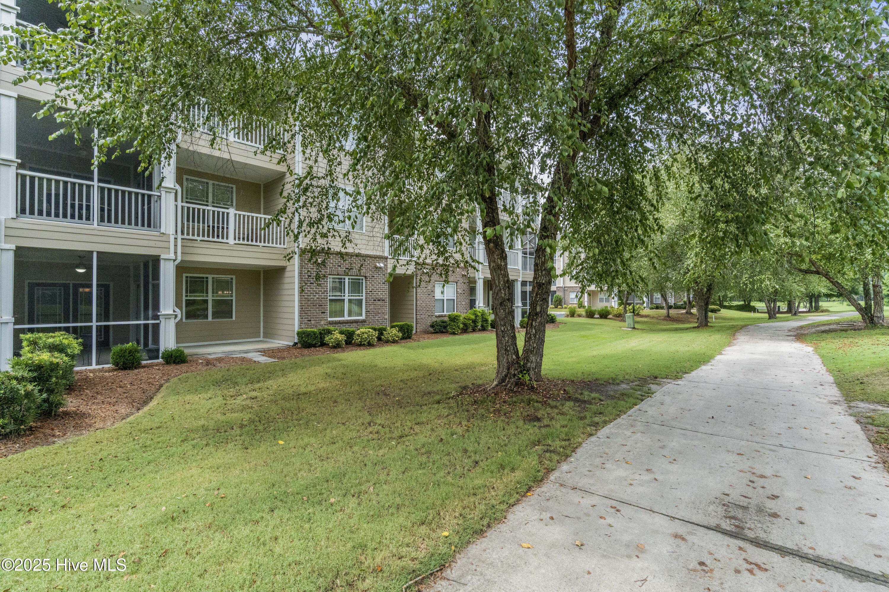 100564335 | Photo 41